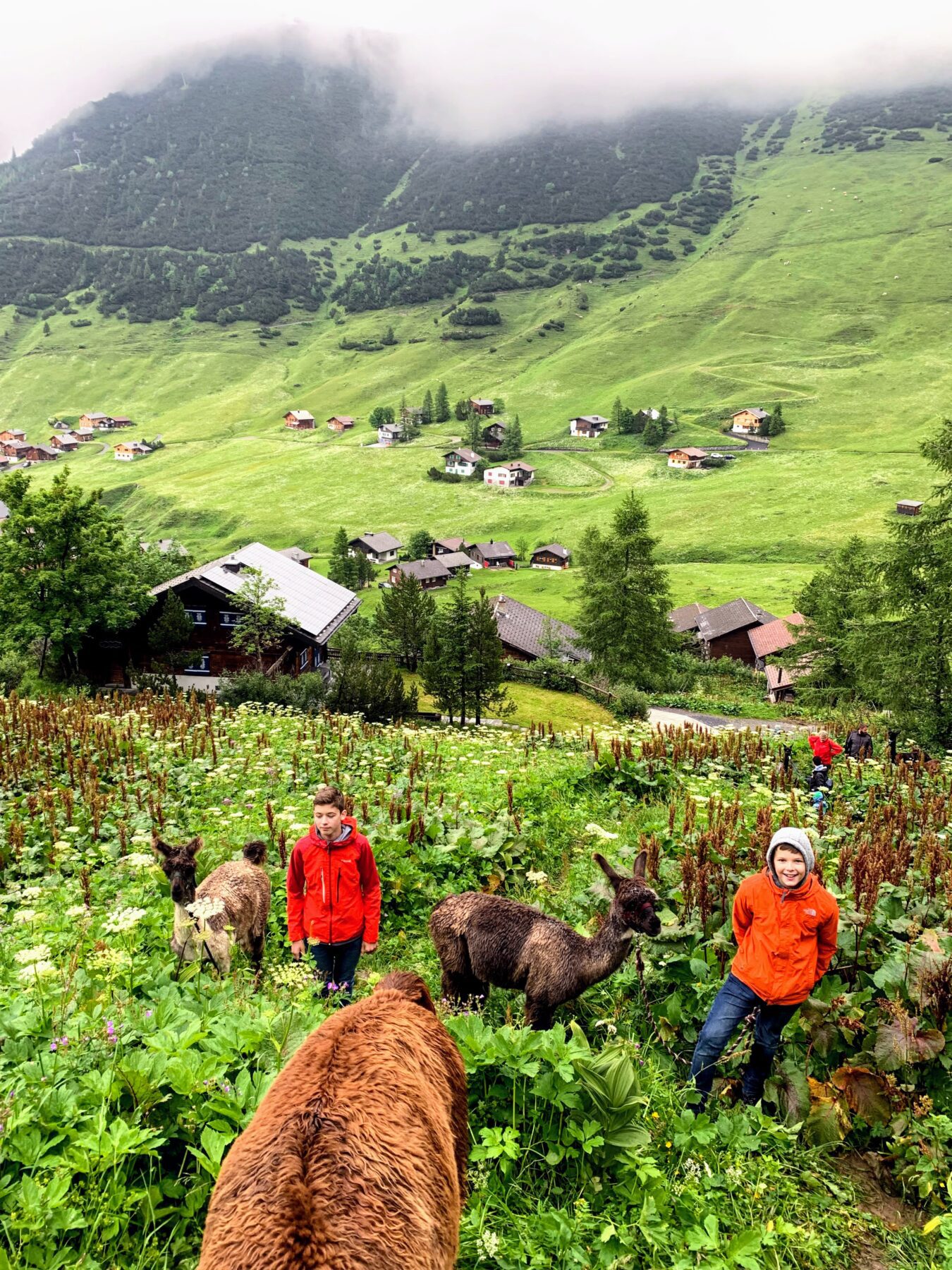 lamatrekking_malbun_