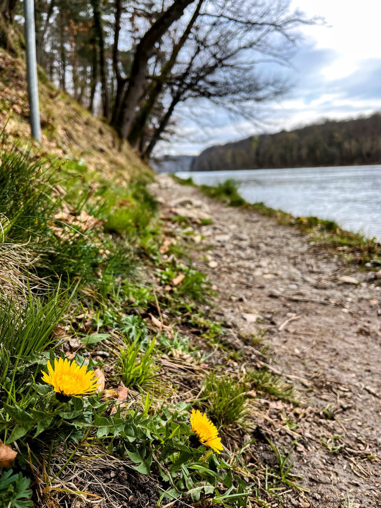 wanderung_rheinau_rheinfall_schaffhausen_