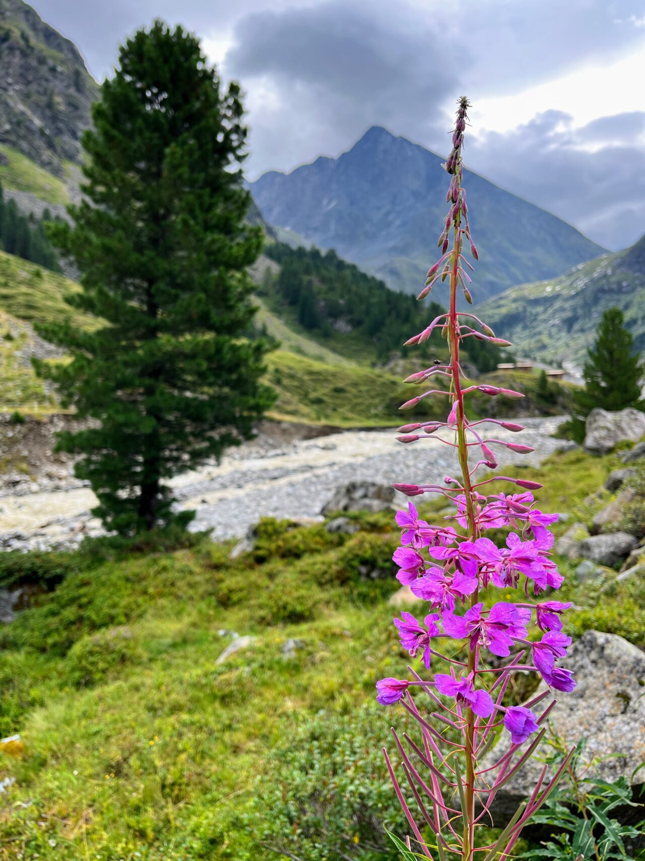 wanderung_amberger_hütte_