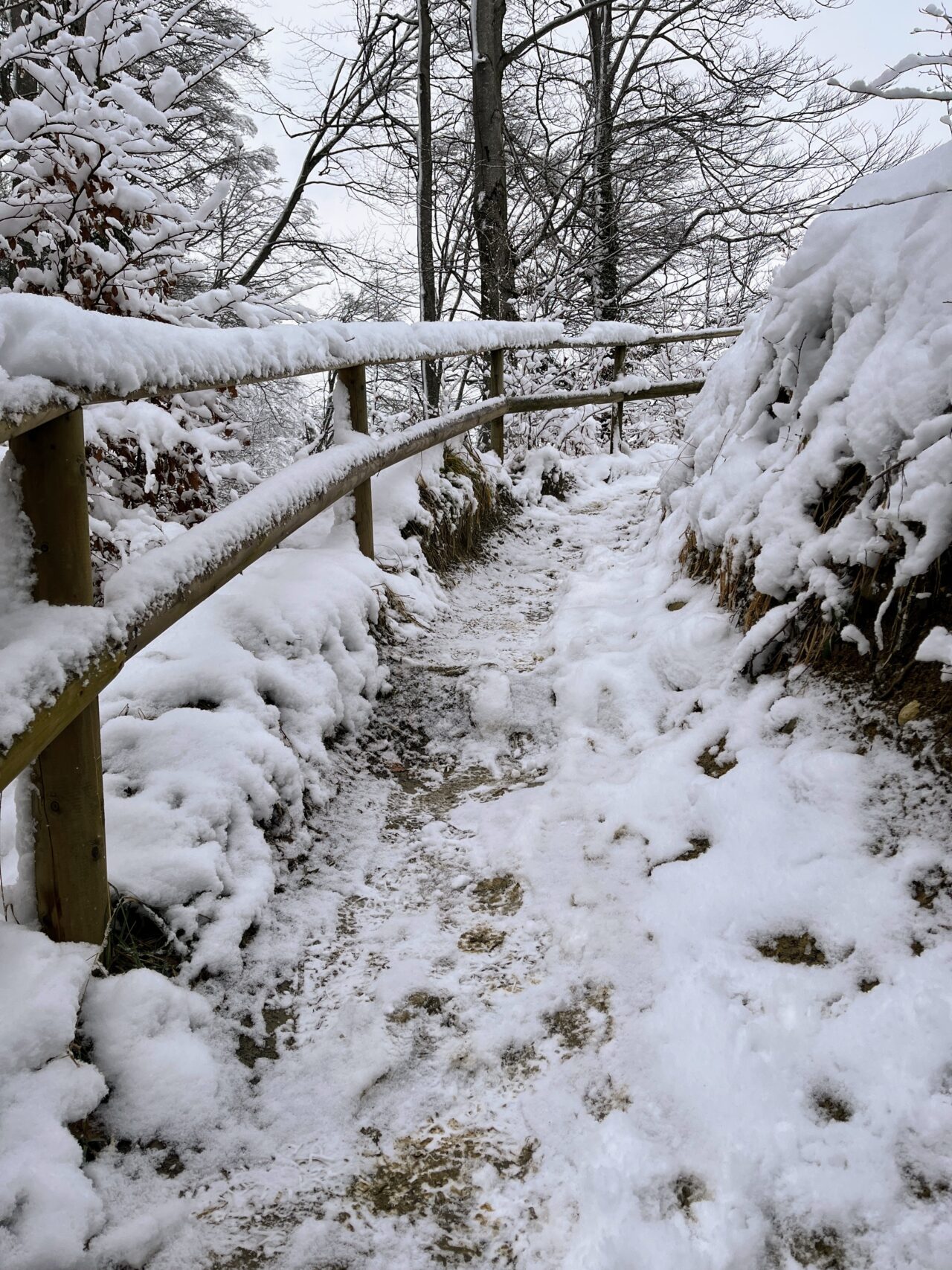 wanderung_albishorn_
