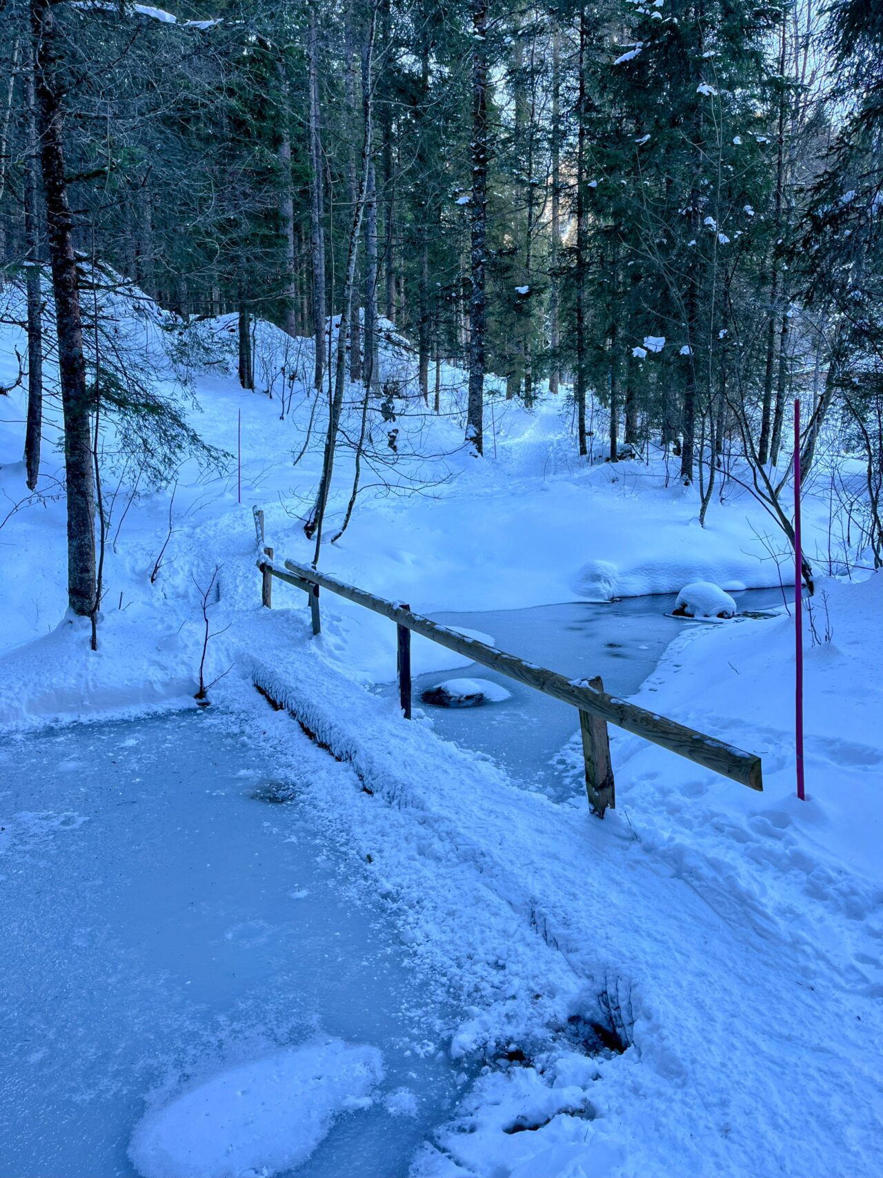 schneeschuhwanderung_wirzweli_arvitrail_chaelenhuette_