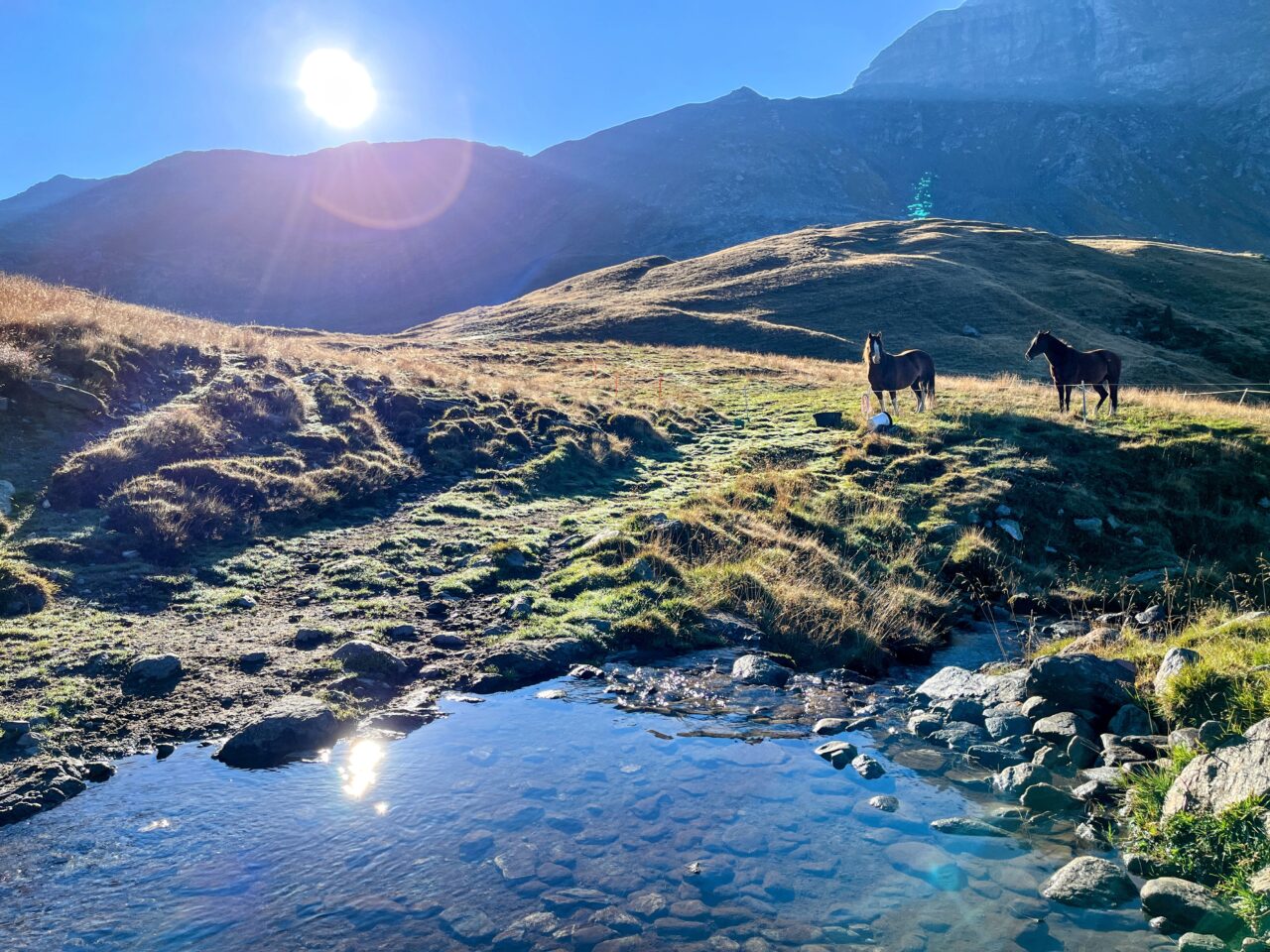 wanderung_sentiero_bernina_sud_