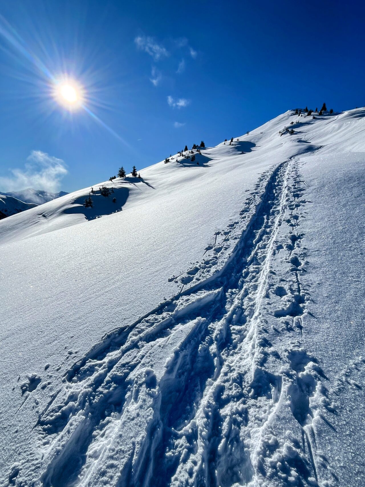 schneeschuhtour_st_antönien_chrüz__IMG_3689