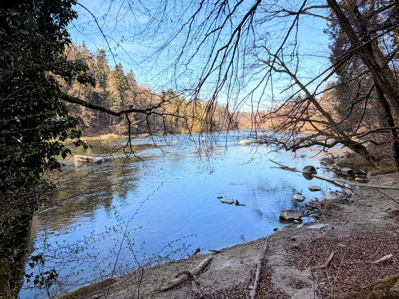 wanderung_reuss_und_aare_wanderung_mellingen_brugg_wildegg_