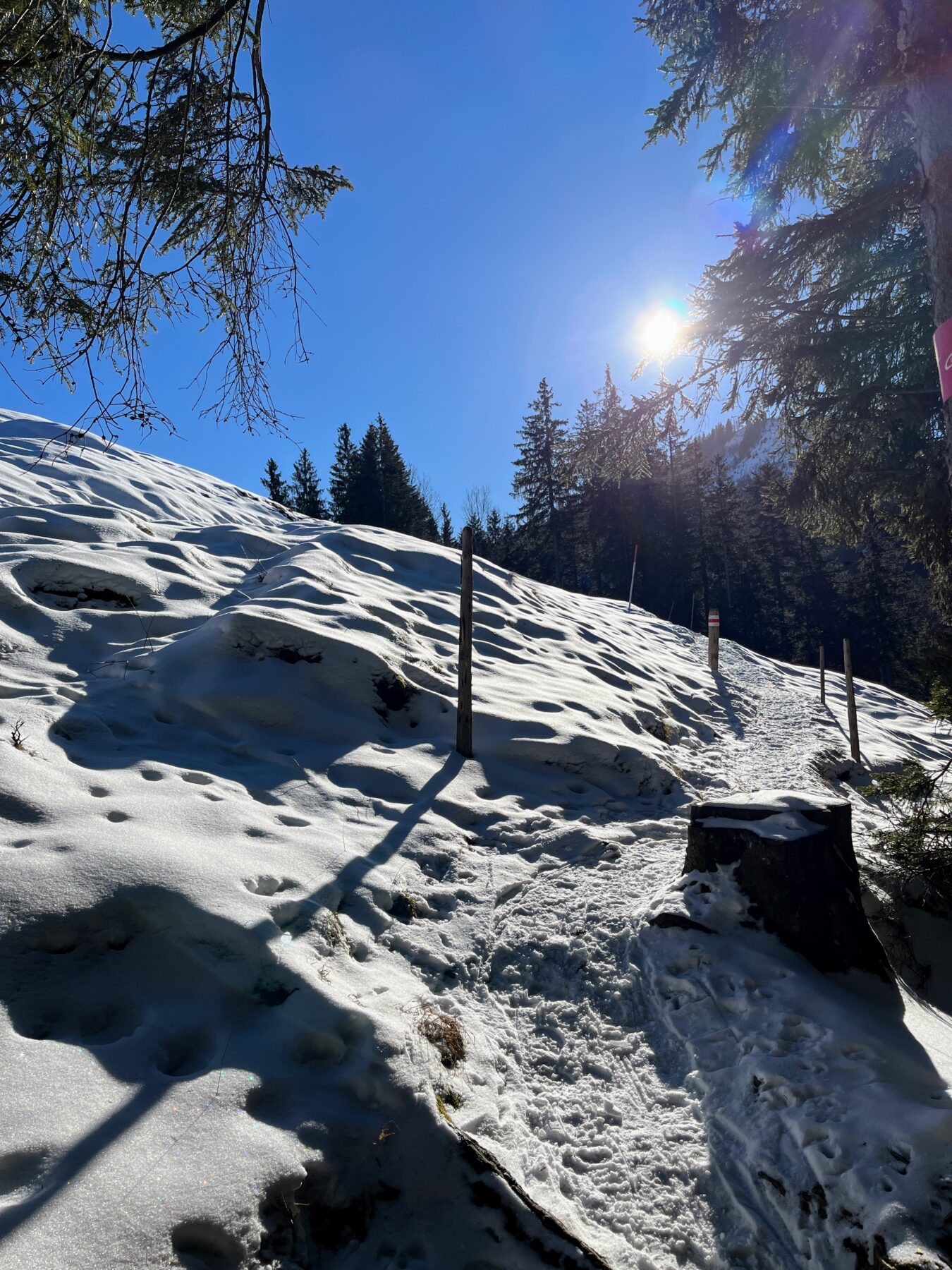schneeschuhwanderung_rothenturm_ruchegg__IMG_0786
