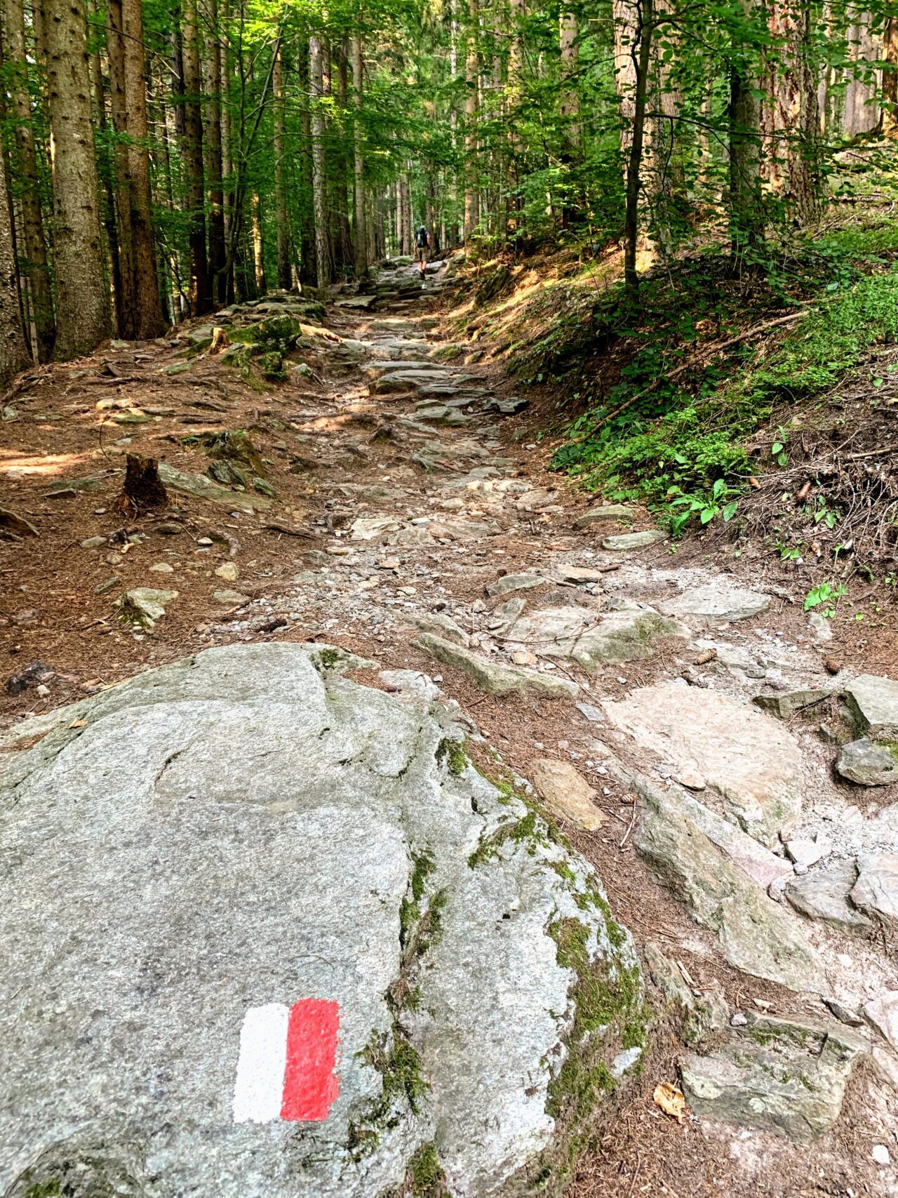 alpenueberquerung_mit_kindern_tag_8_timmelsjoch_pfandleralm_