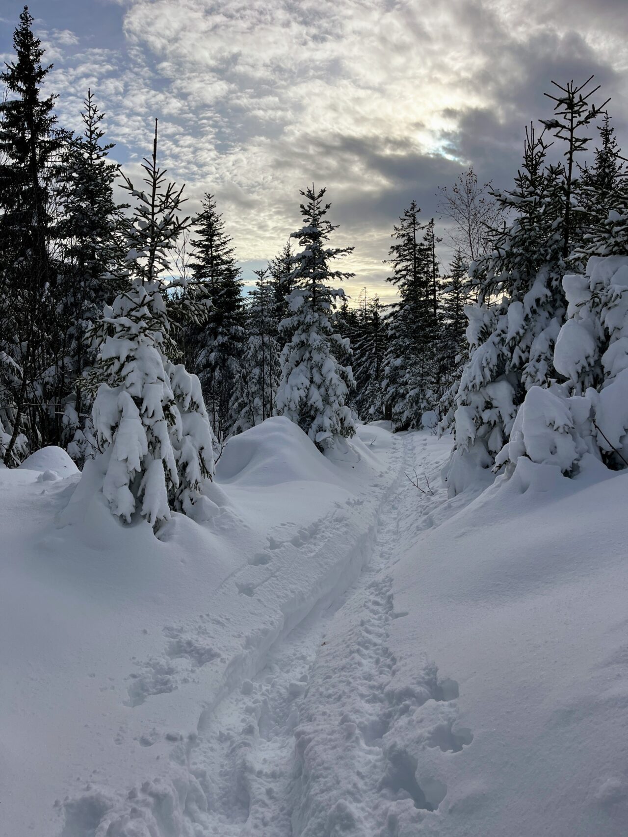 schneeschuhwanderung_rothenthurm-nüsselstock-brunni__IMG_5584