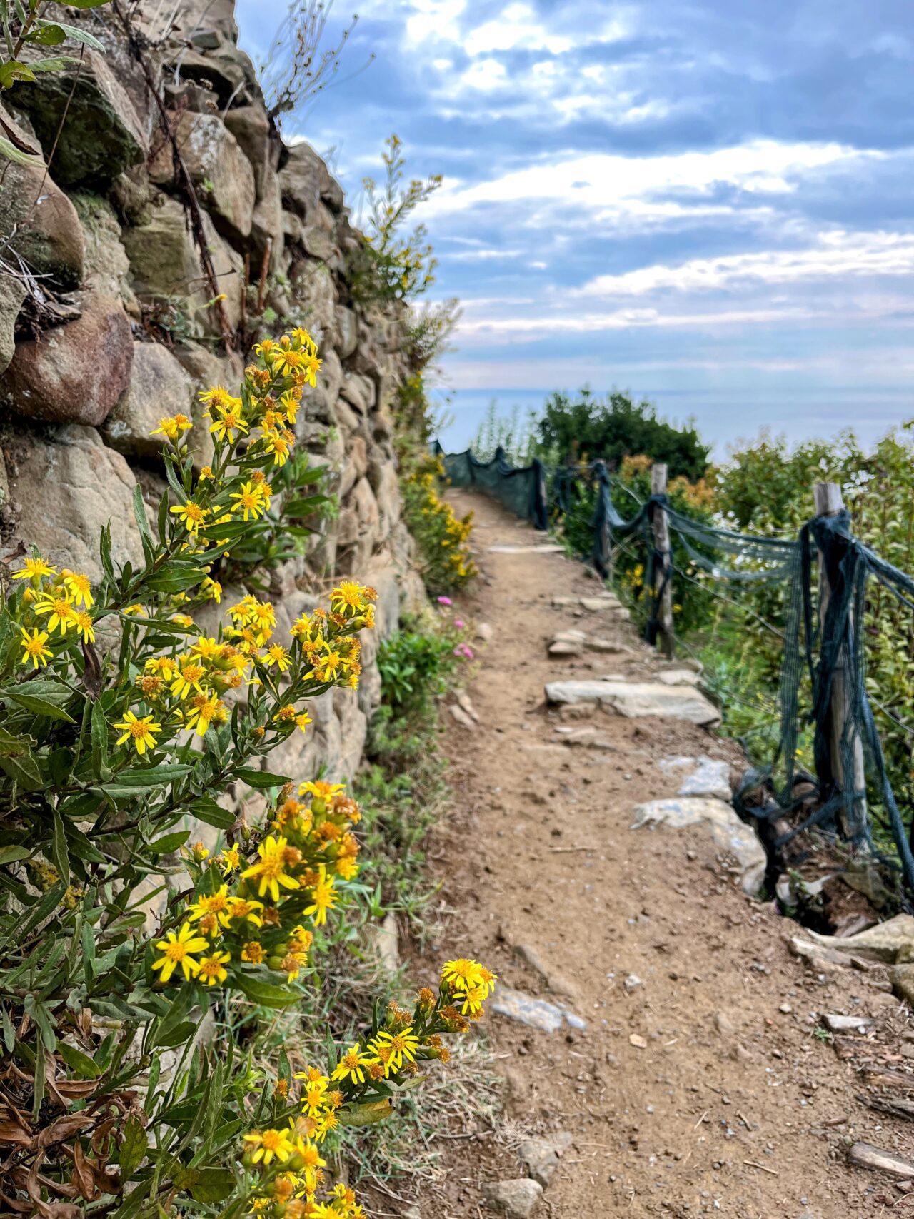 wandern_cinque_terre_