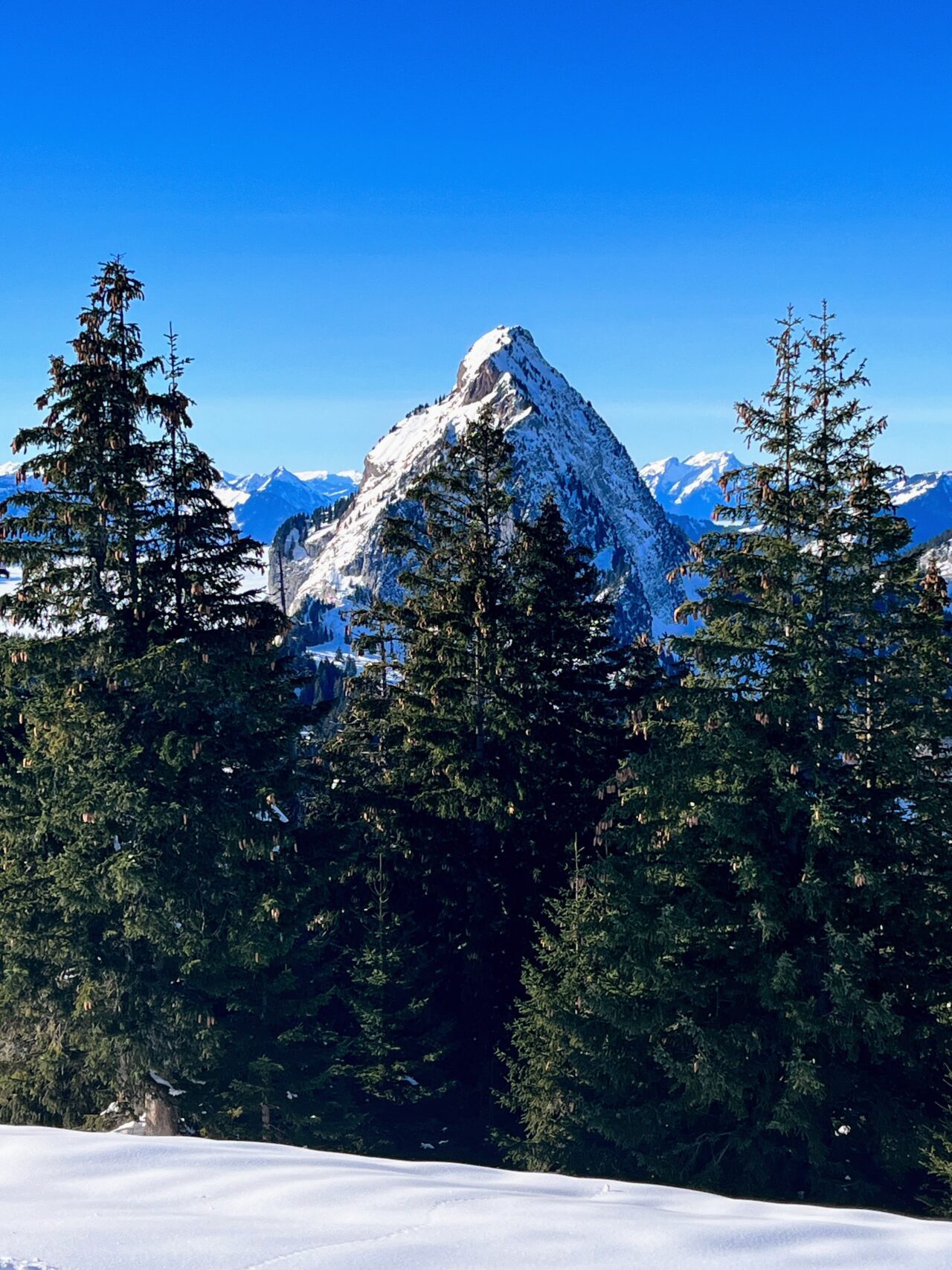 schneeschuhwanderung_oberiberg_furggelenstock__IMG_2795
