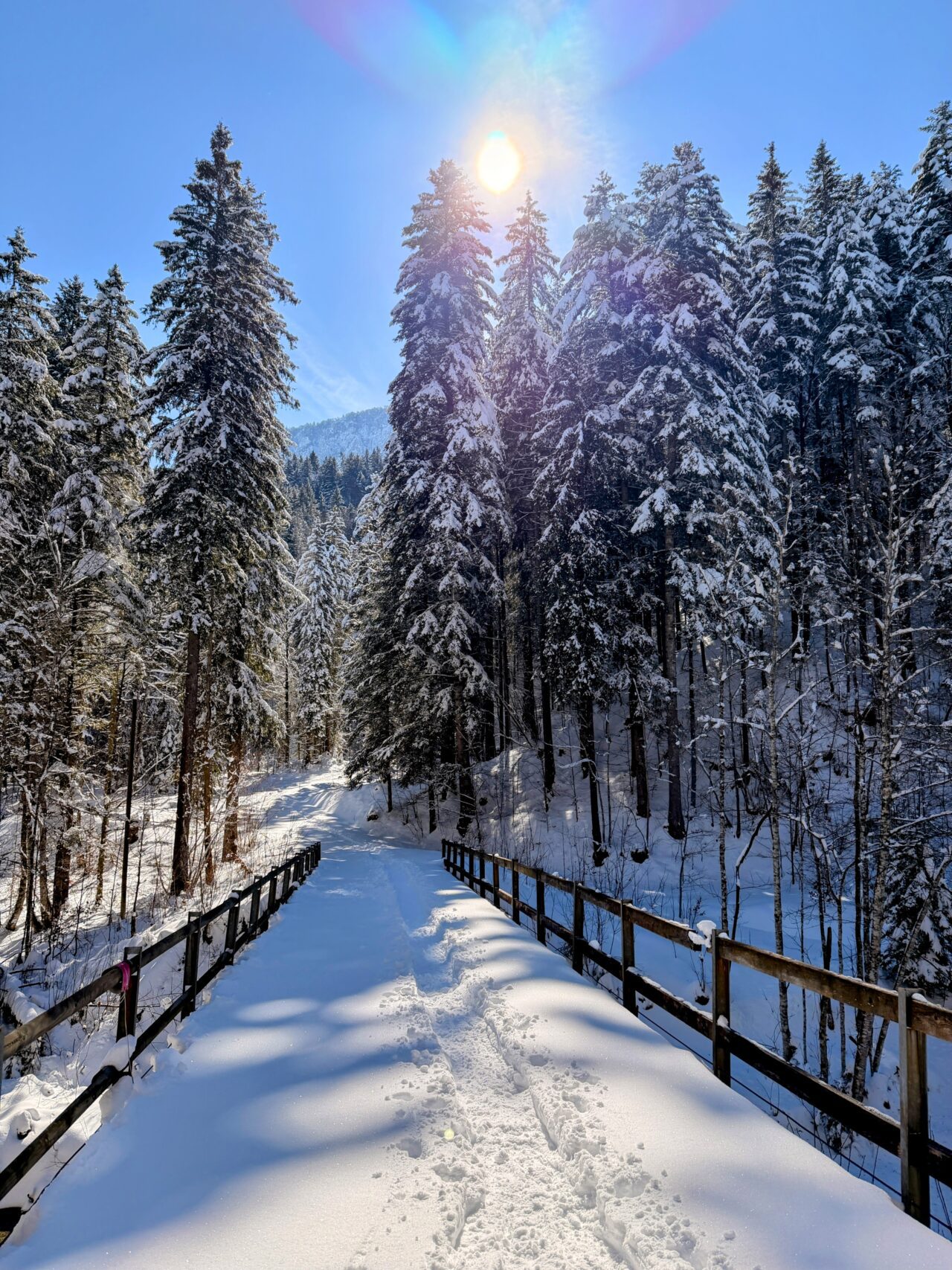 schneeschuhtour_lehmen_kronberg_chammhaldenhuette_schwaegalp__IMG_1302
