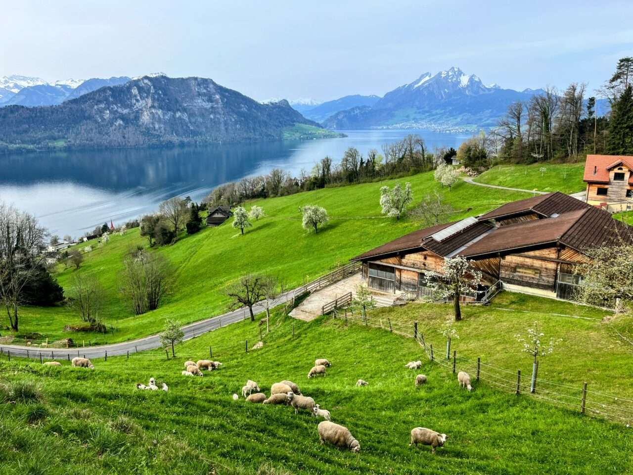 wanderung_weggis_rigi_