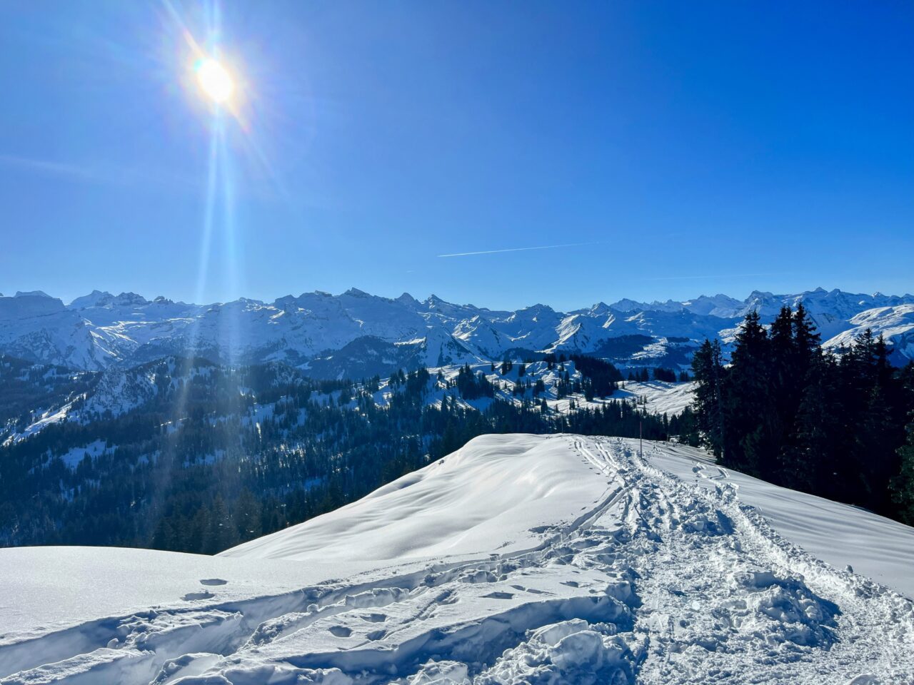schneeschuhwanderung_oberiberg_furggelenstock__IMG_2792