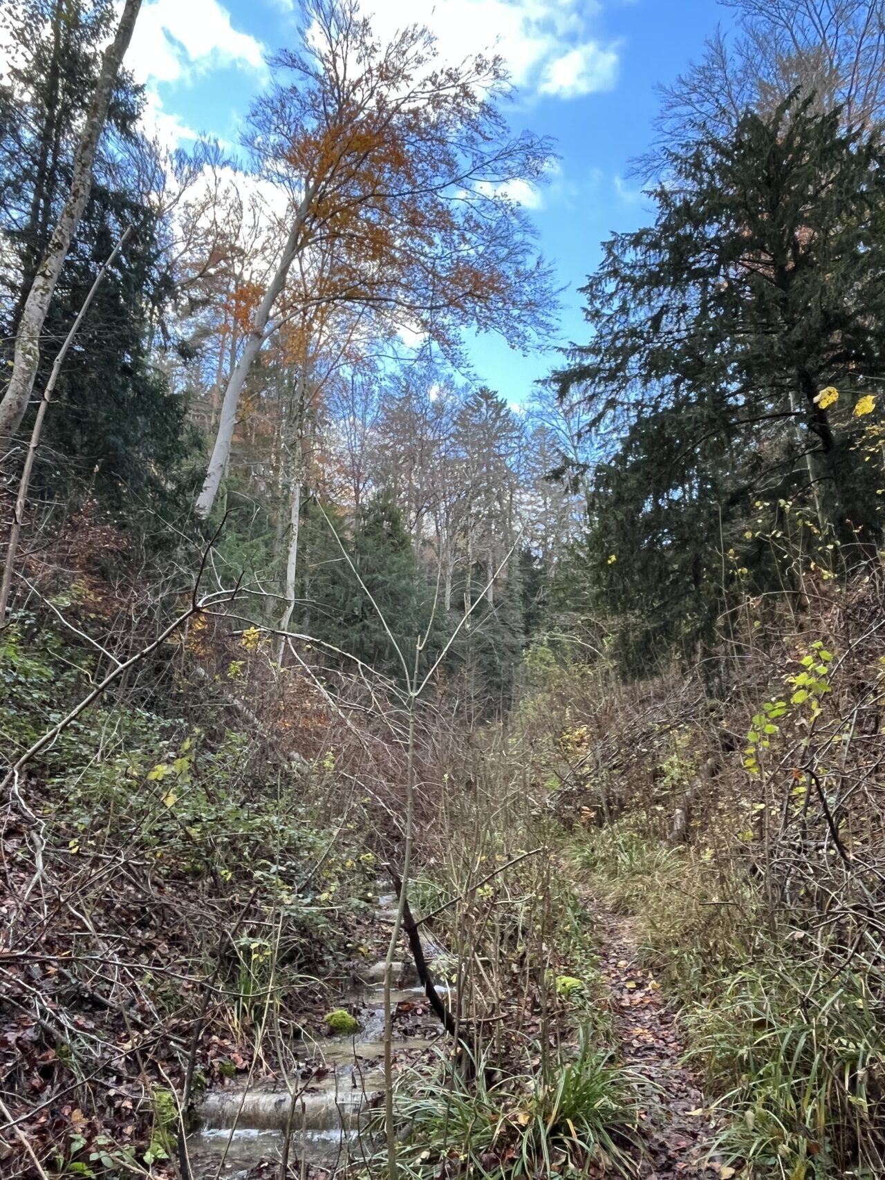 wanderung_teehuette_fallaetsche_