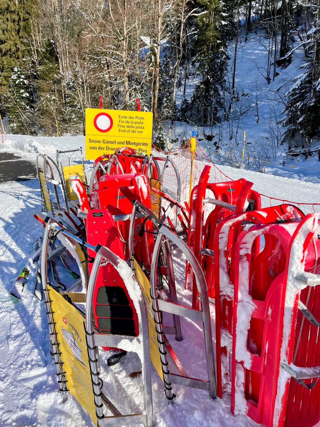 wanderung_druesberghütte__IMG_1345 (Kopie)