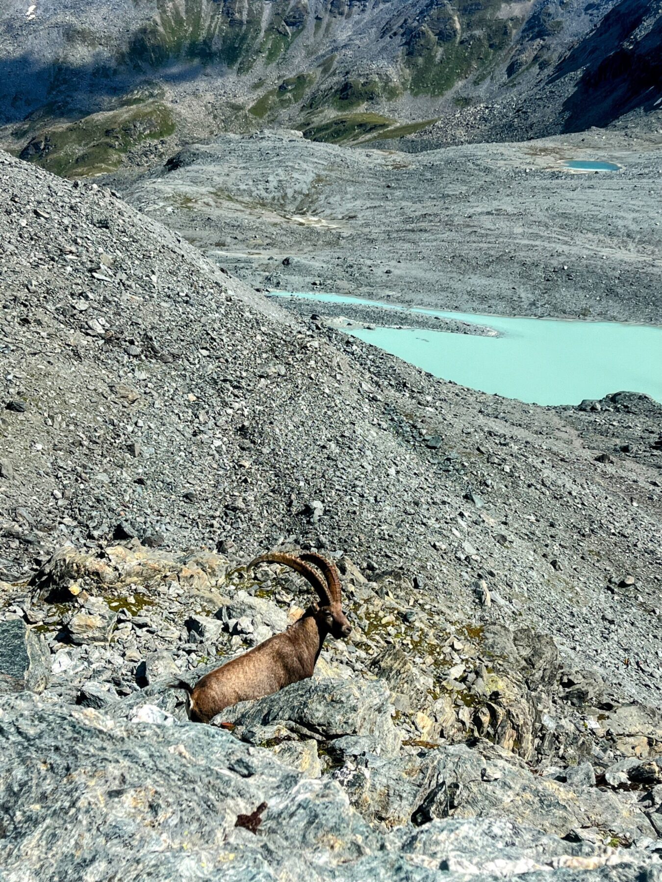 wanderung_alpenpaesseweg_etappe_29_cabane_de_prafleuri_cabane_de_louvie_