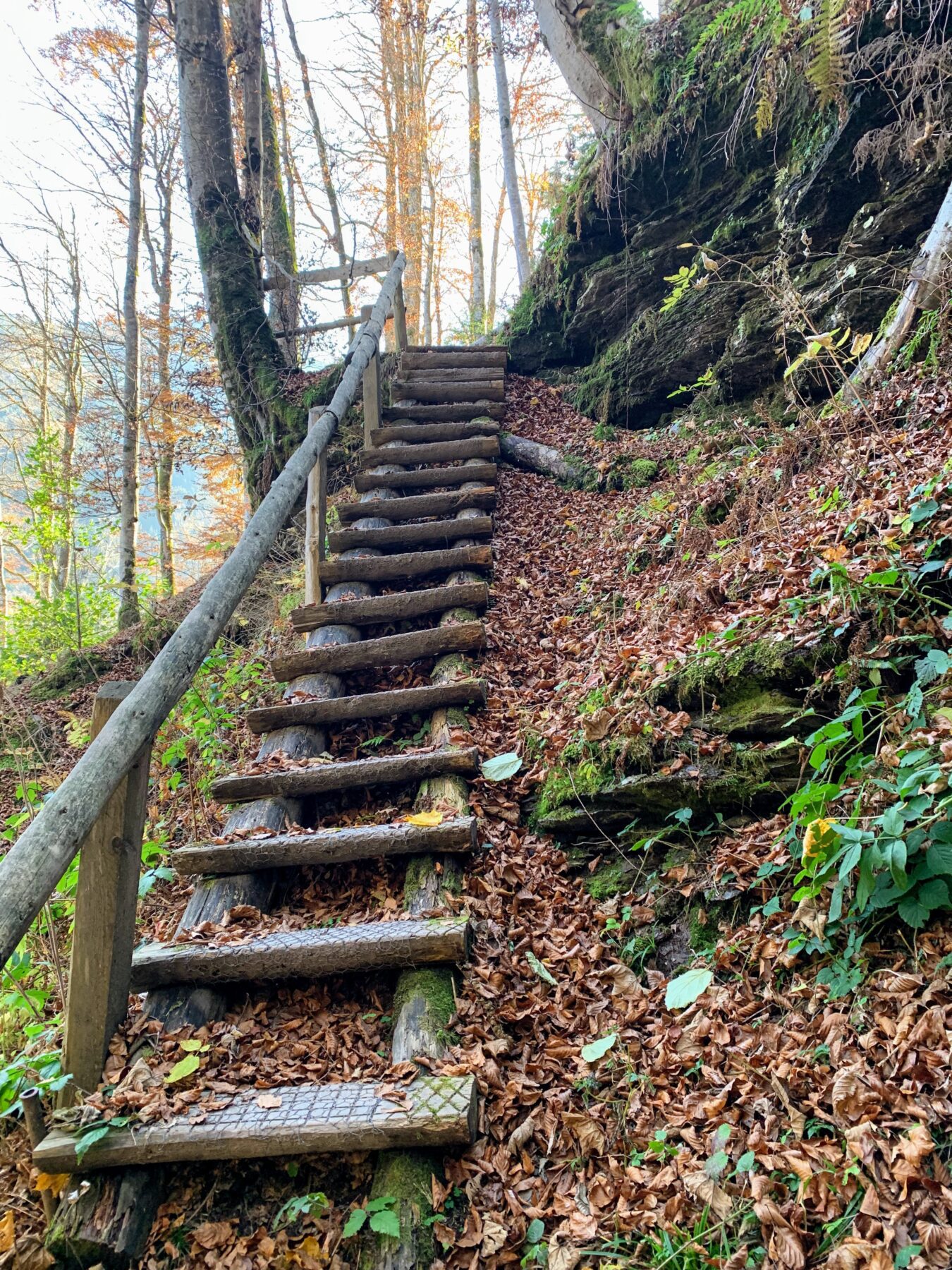 via_alpina_etappe_2_sargans_weisstannen_