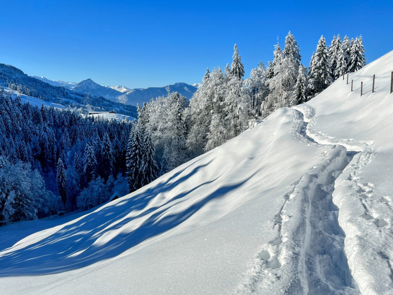 schneeschuhwanderung_rothenthurm_ahoren_biberbrugg__IMG_2346