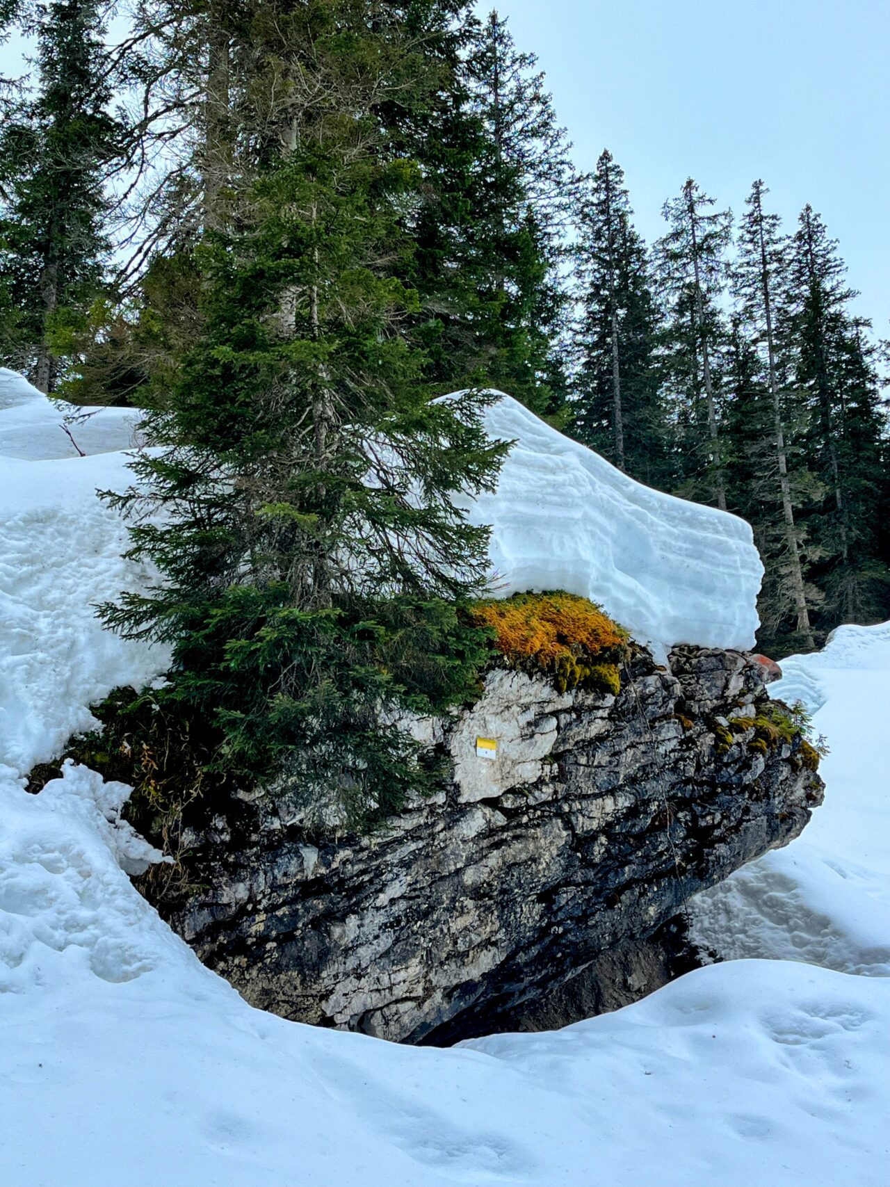 winterwanderung_und_schlitteln_lindauer_huette__IMG_4456