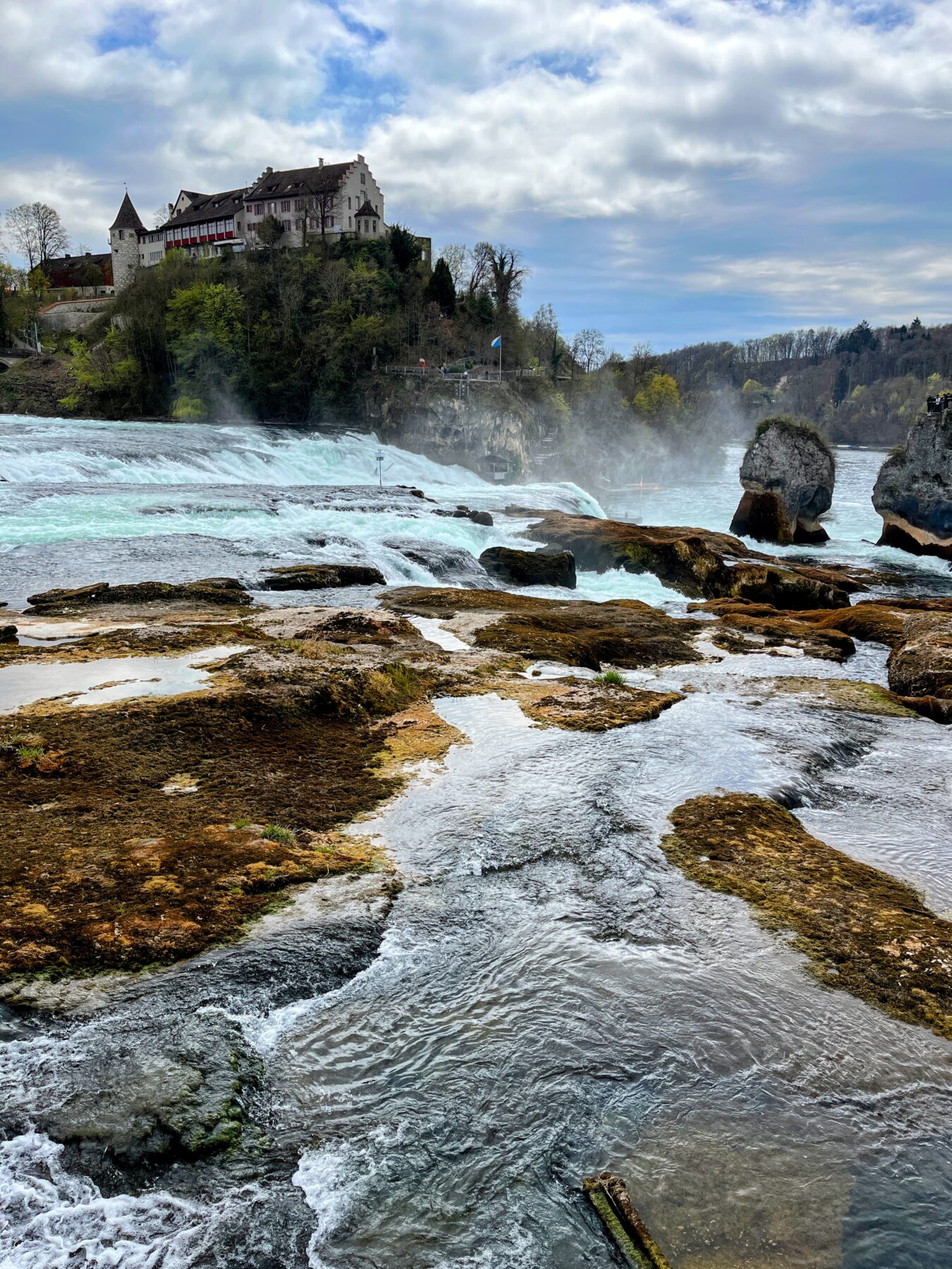 wanderung_rheinau_rheinfall_schaffhausen_