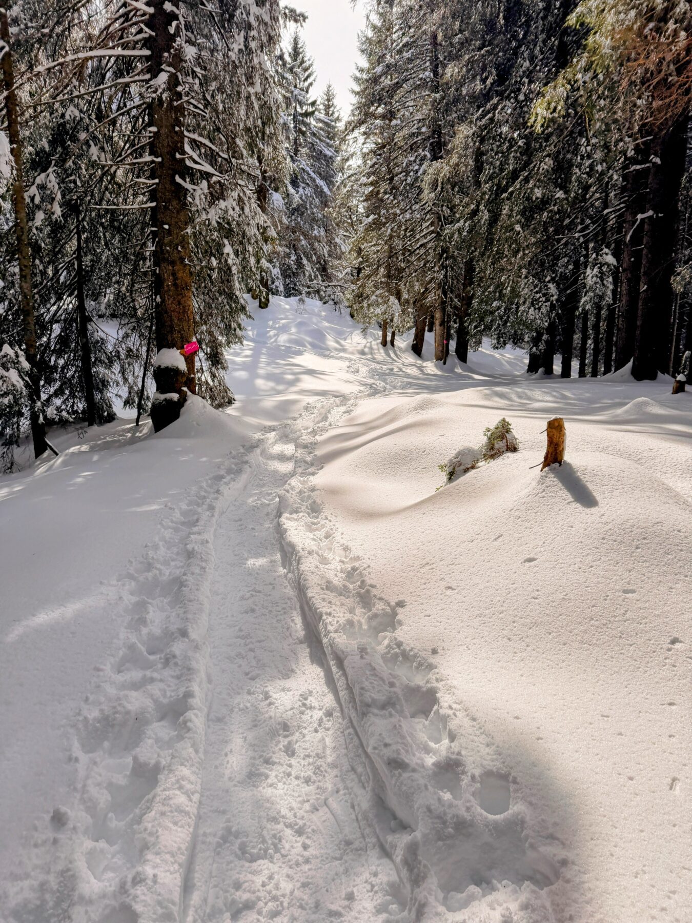 schneeschuhtour_lehmen_kronberg_chammhaldenhuette_schwaegalp__IMG_1400