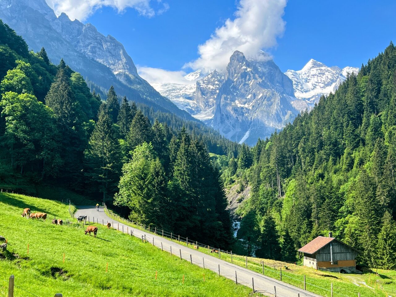 wanderung_via_alpina_meiringen_grindelwald_