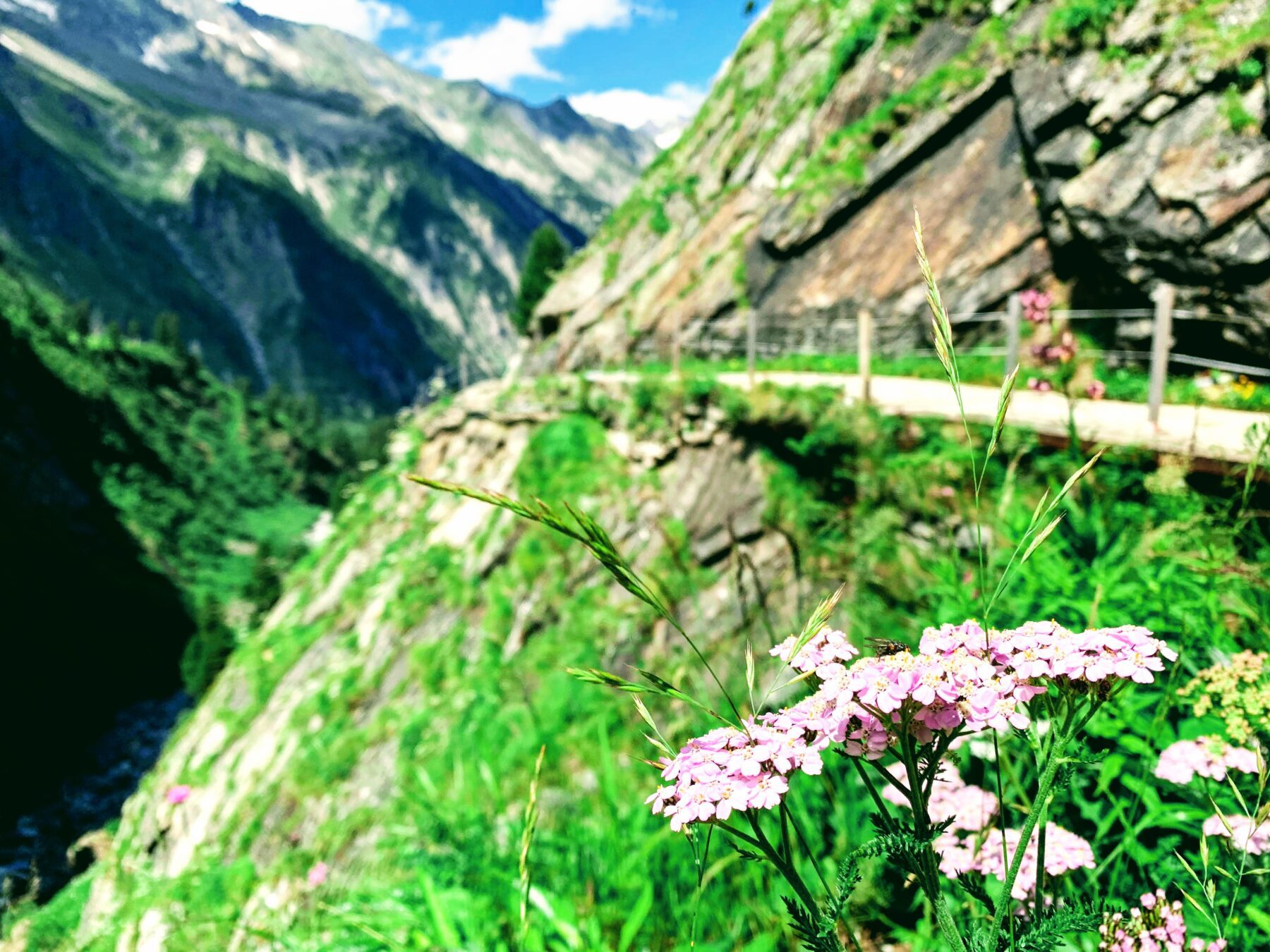wanderung_berliner_huette_