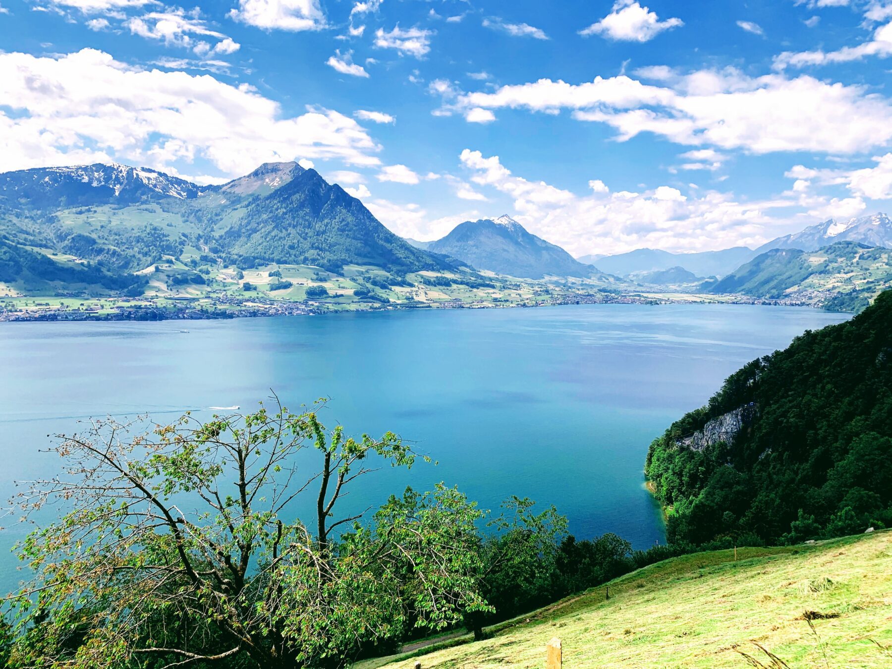 wanderung_waldstaetterweg_brunnen_vitznau_
