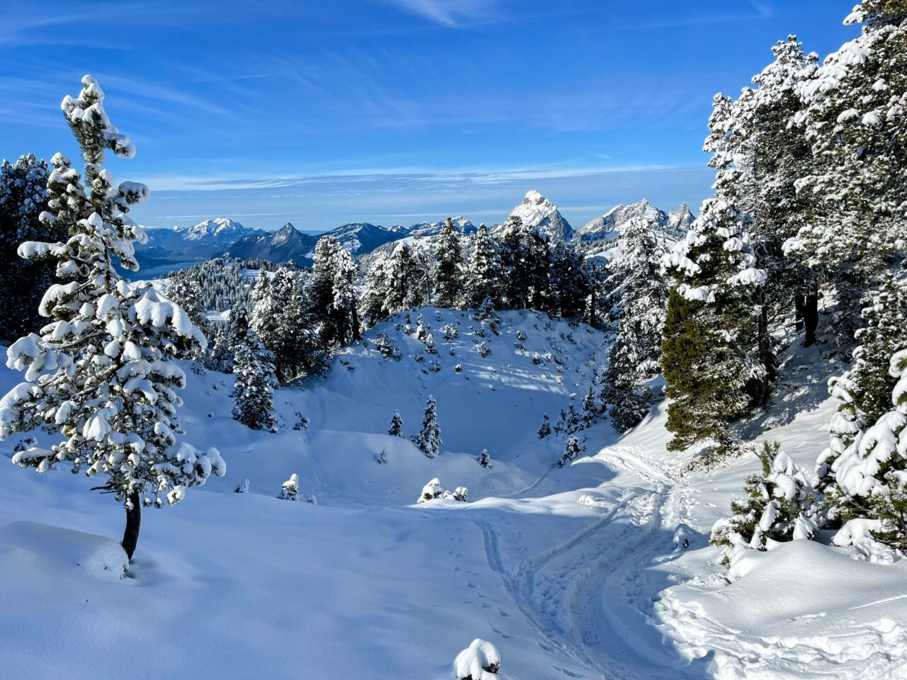 schneeschuhtour_laucherenstoeckli_ibergeregg_brunni__IMG_5770