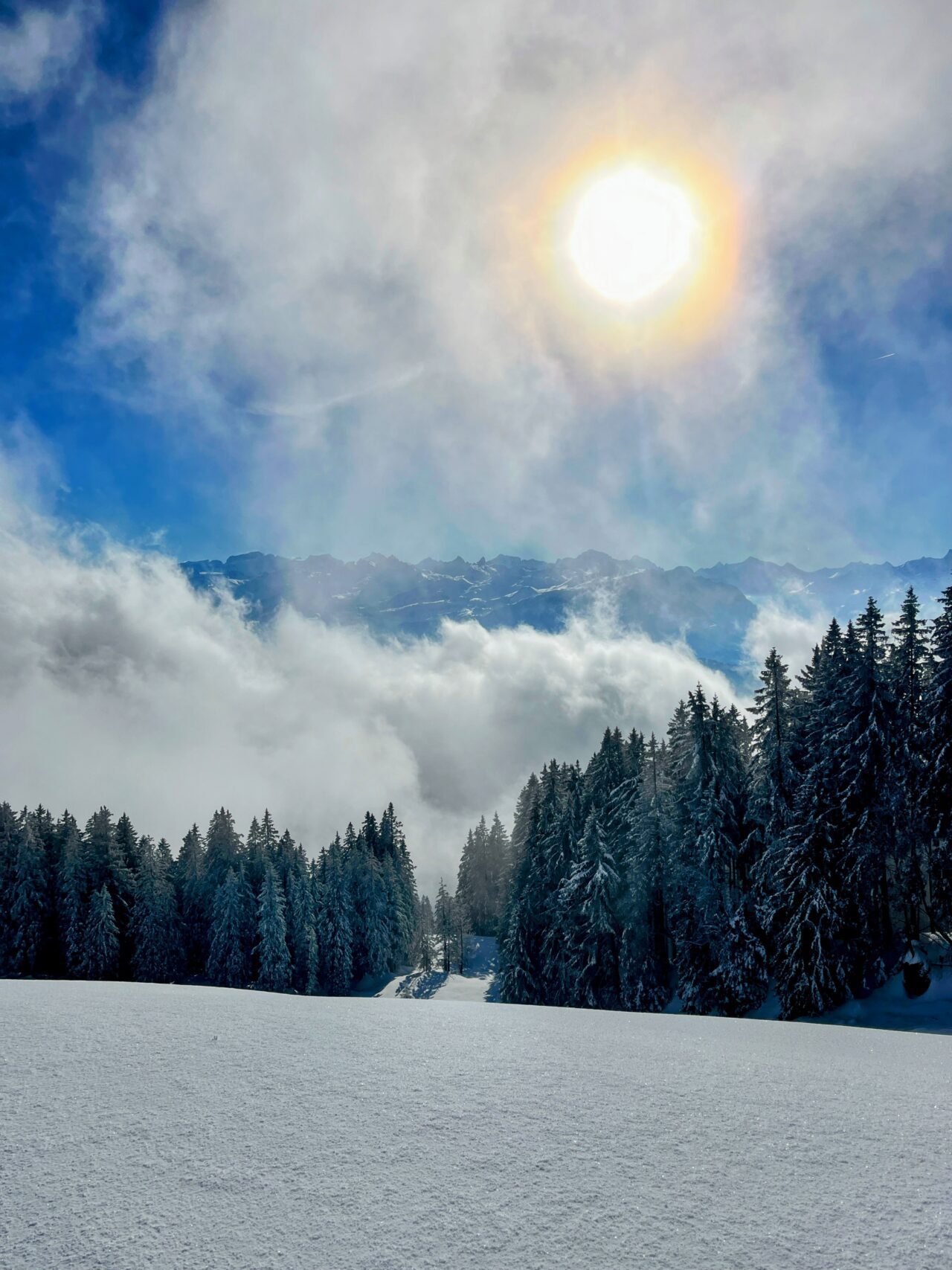 schneeschuhwanderung_wildspitz__IMG_2246