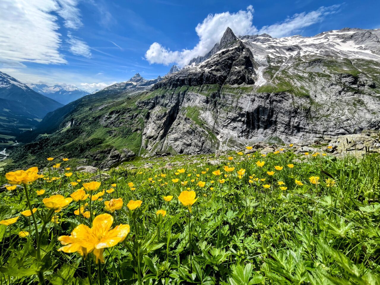 wanderung_bristen_hüfihütte_