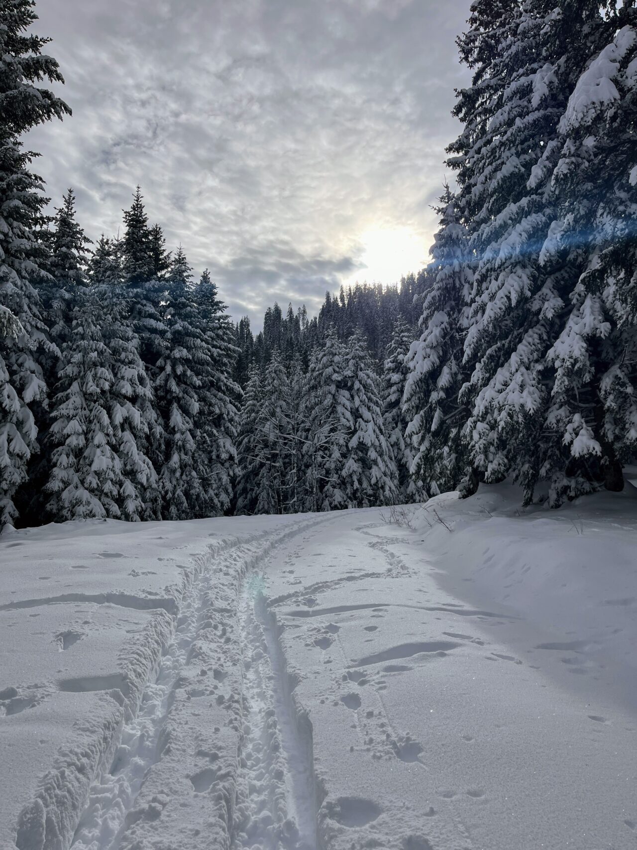 schneeschuhwanderung_rothenthurm-nüsselstock-brunni__IMG_5564