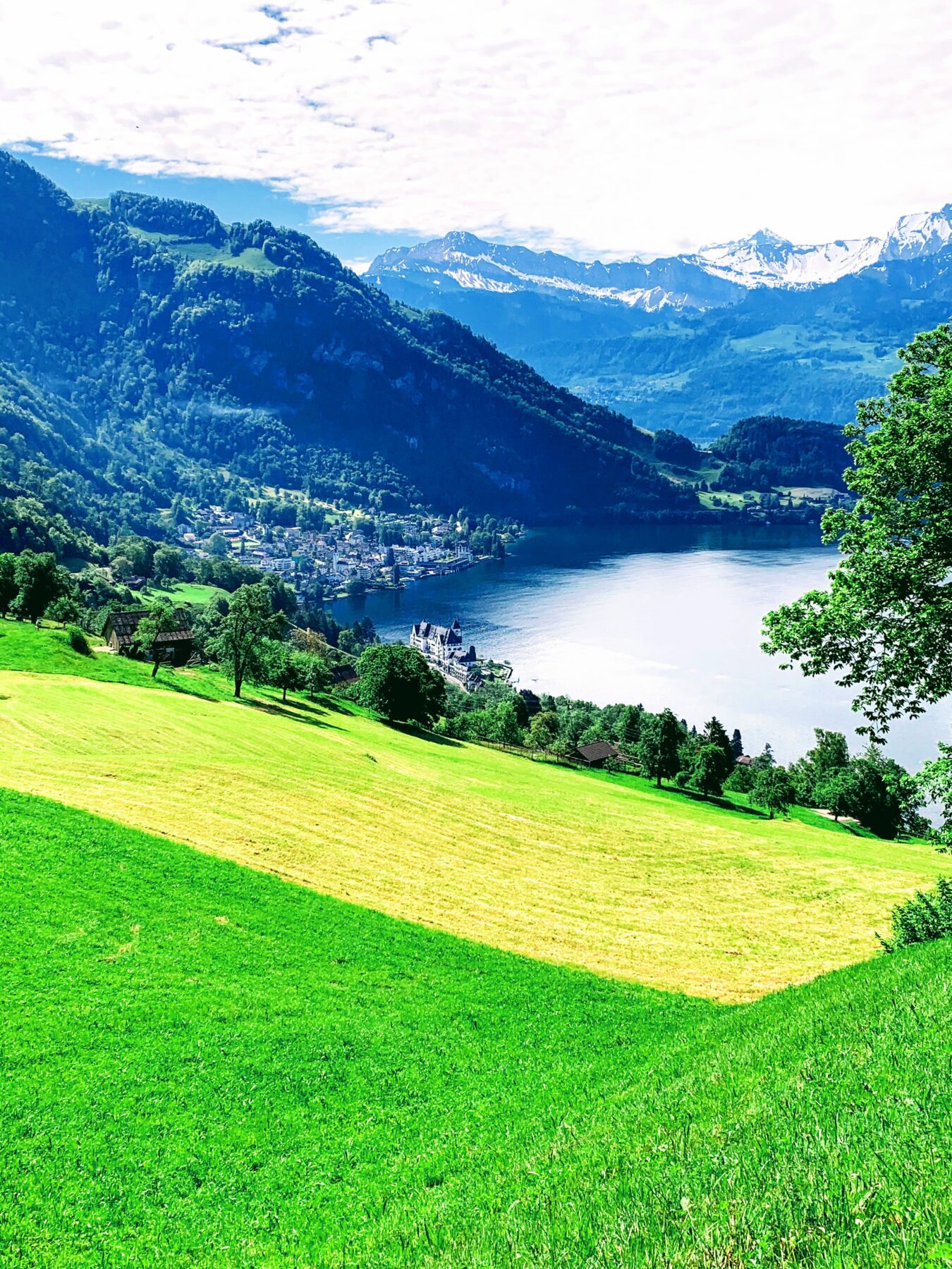wanderung_waldstaetterweg_vitznau_kuesnacht_am_rigi_
