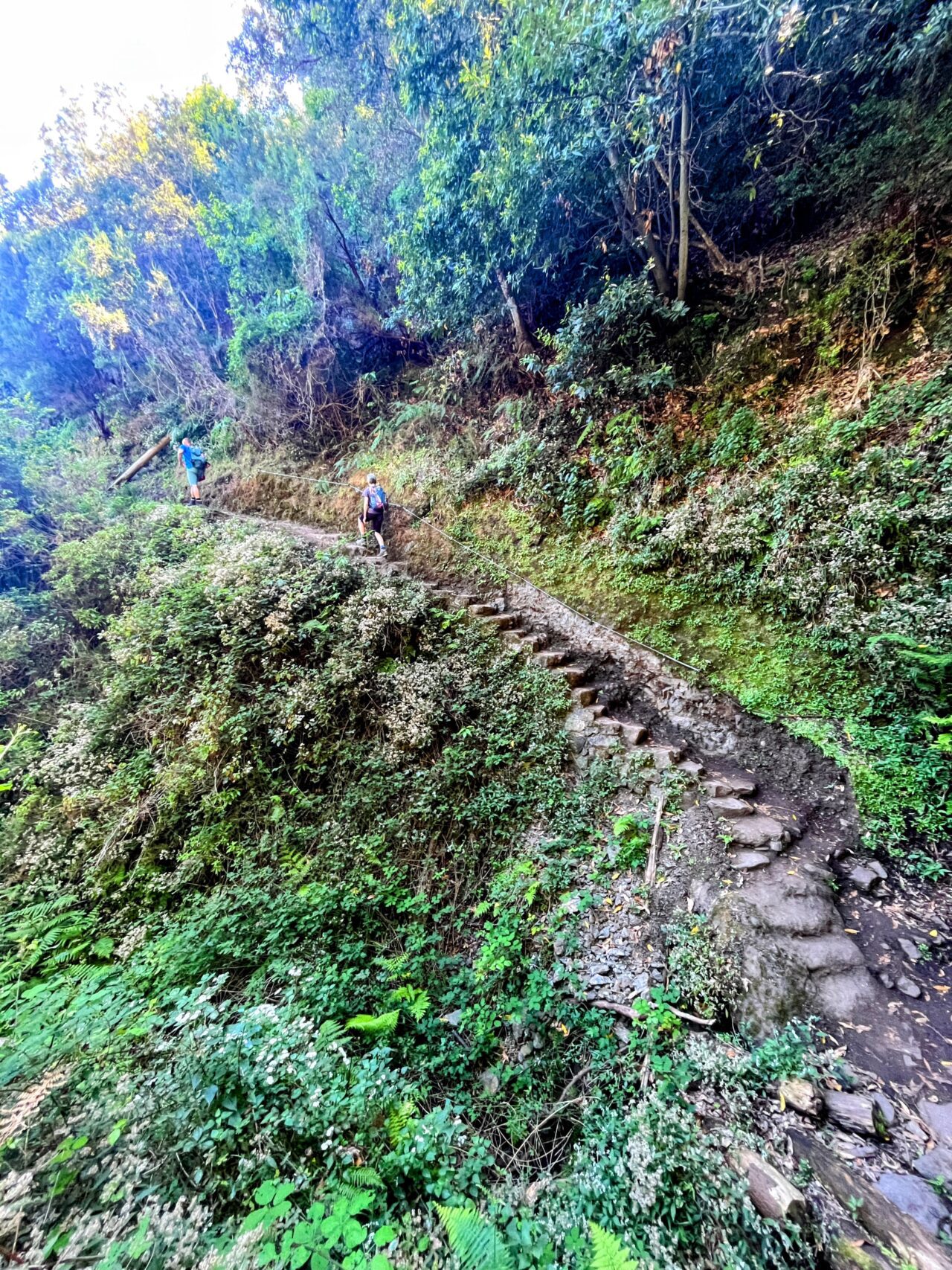 wanderung_madeira_porto_da_cruz_machico_