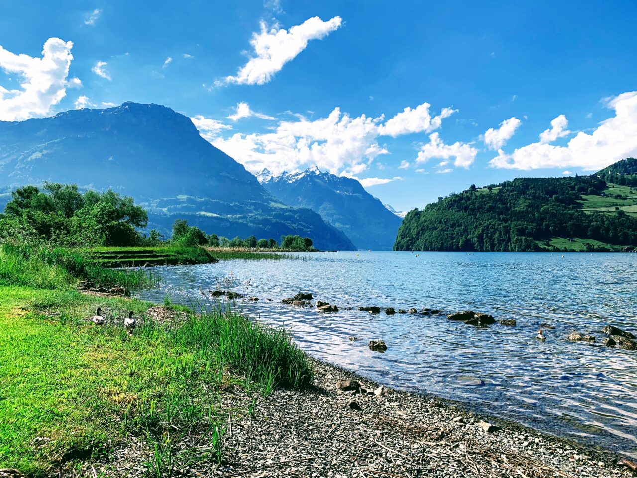 wanderung_waldstaetterweg_brunnen_vitznau_