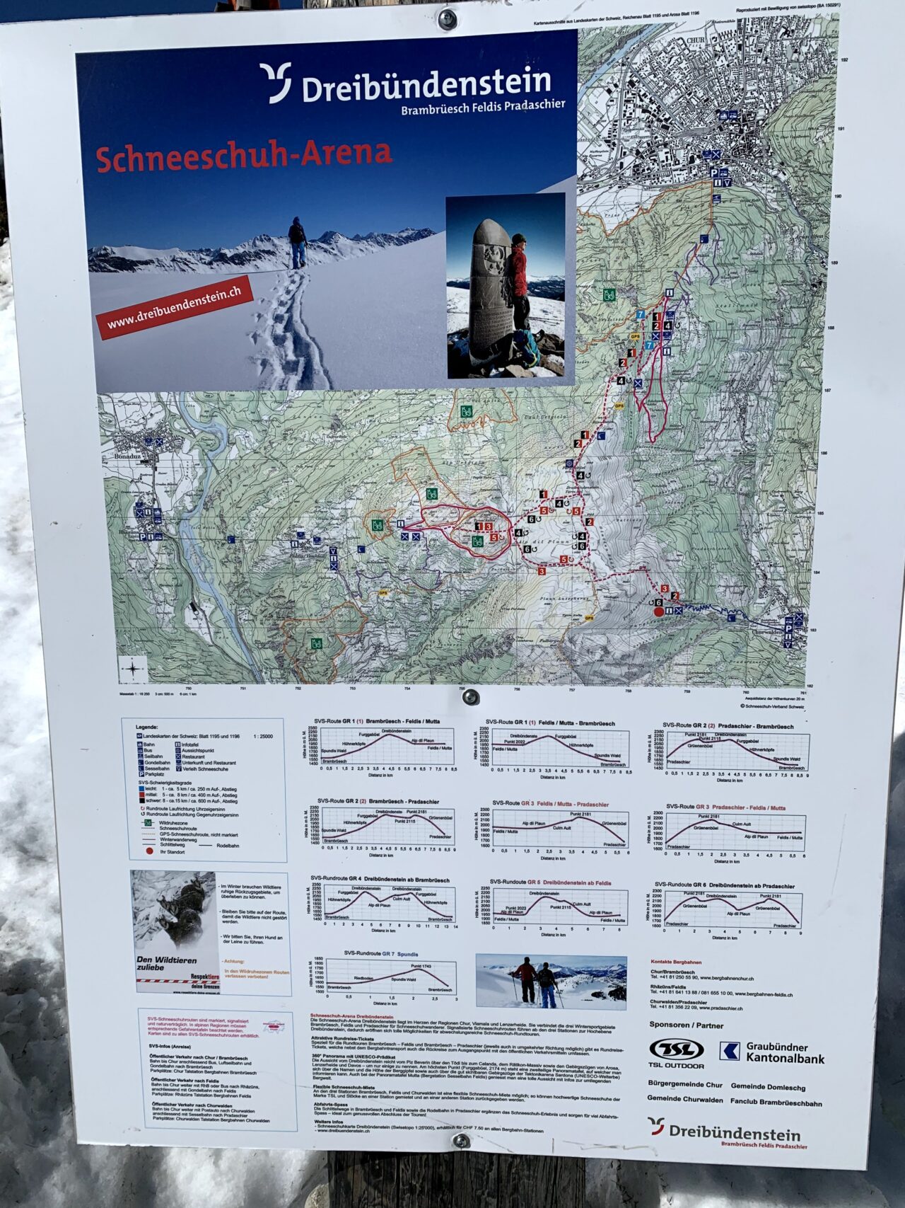 schneeschuhwandern_churwalden_dreibuendenstein_