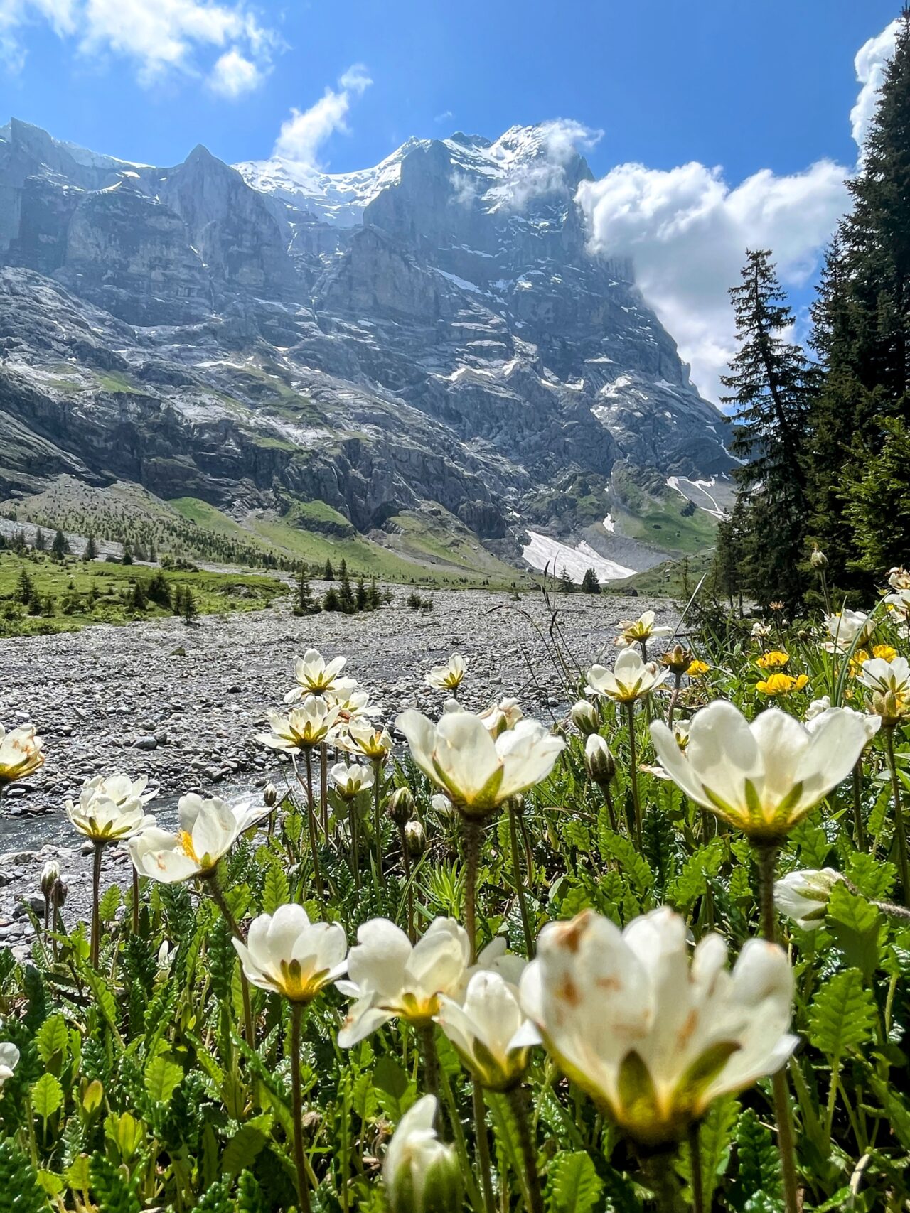 wanderung_via_alpina_meiringen_grindelwald_