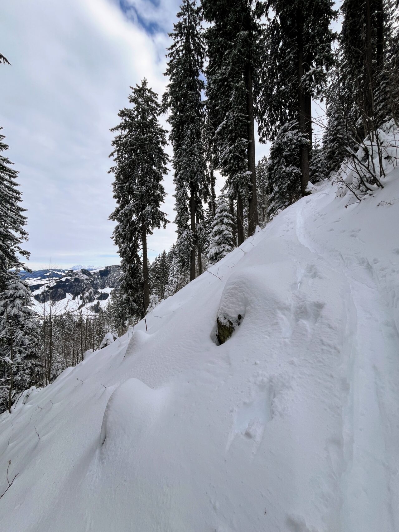 schneeschuhwanderung_rothenthurm-nüsselstock-brunni__IMG_5566