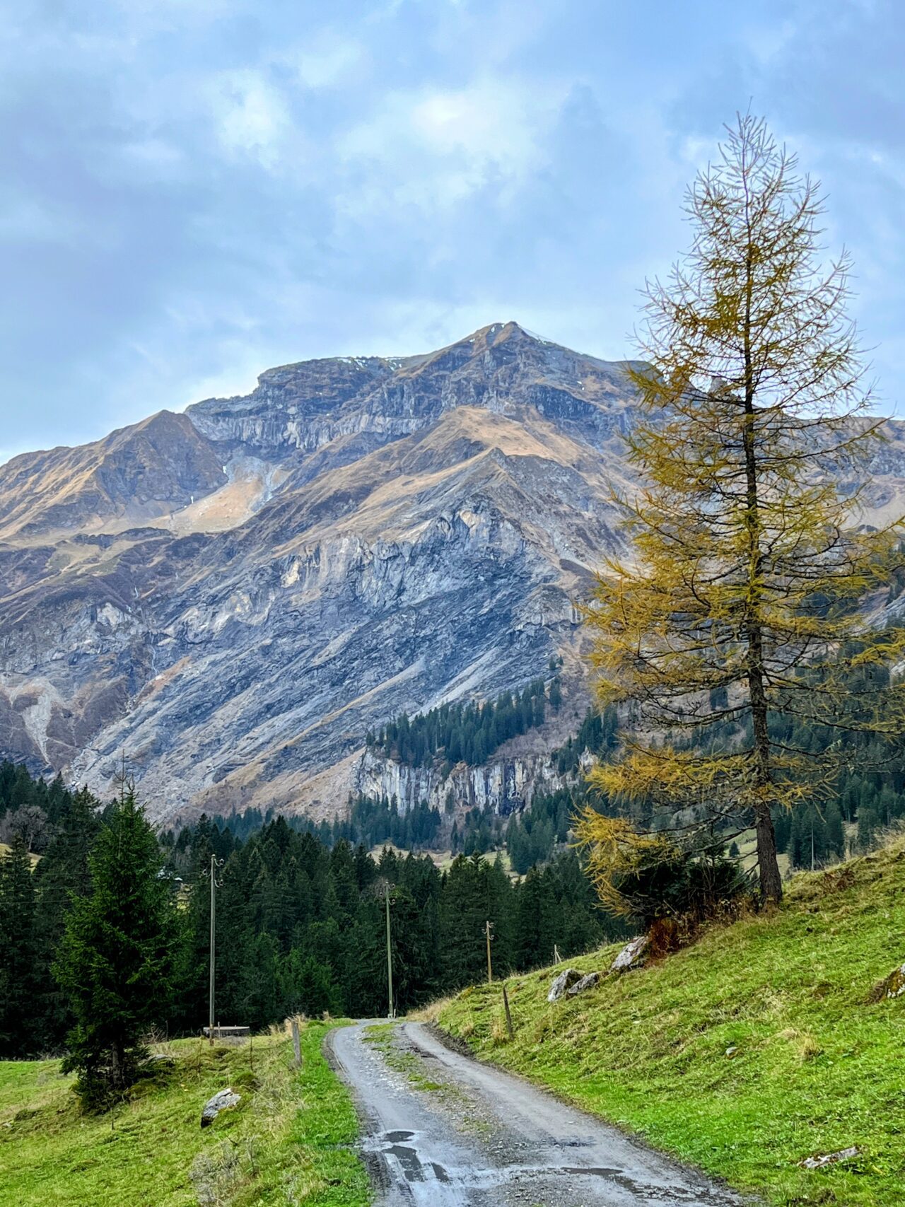 via_alpina_etappe_3_weisstannen_elm_