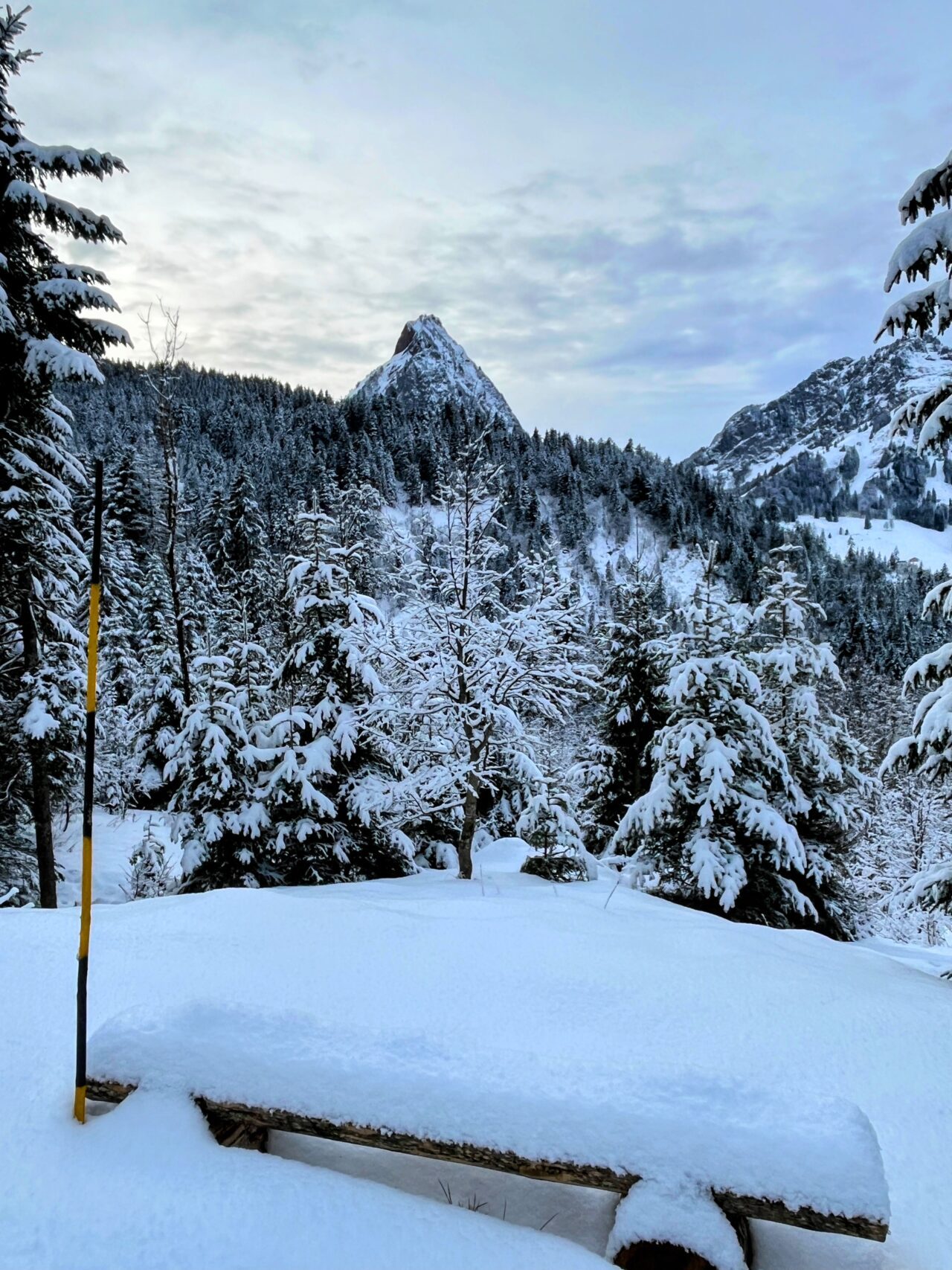 schneeschuhtour_laucherenstoeckli_ibergeregg_brunni__IMG_5818
