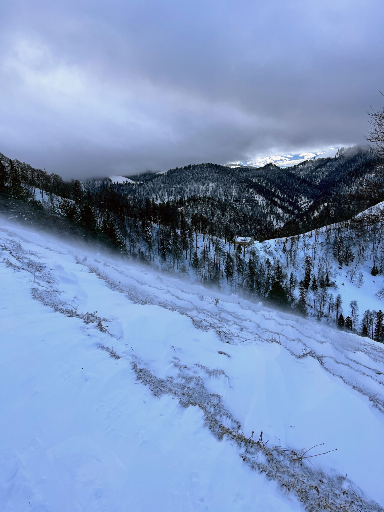 schneeschuhwanderung_schnebelhorn__IMG_2463