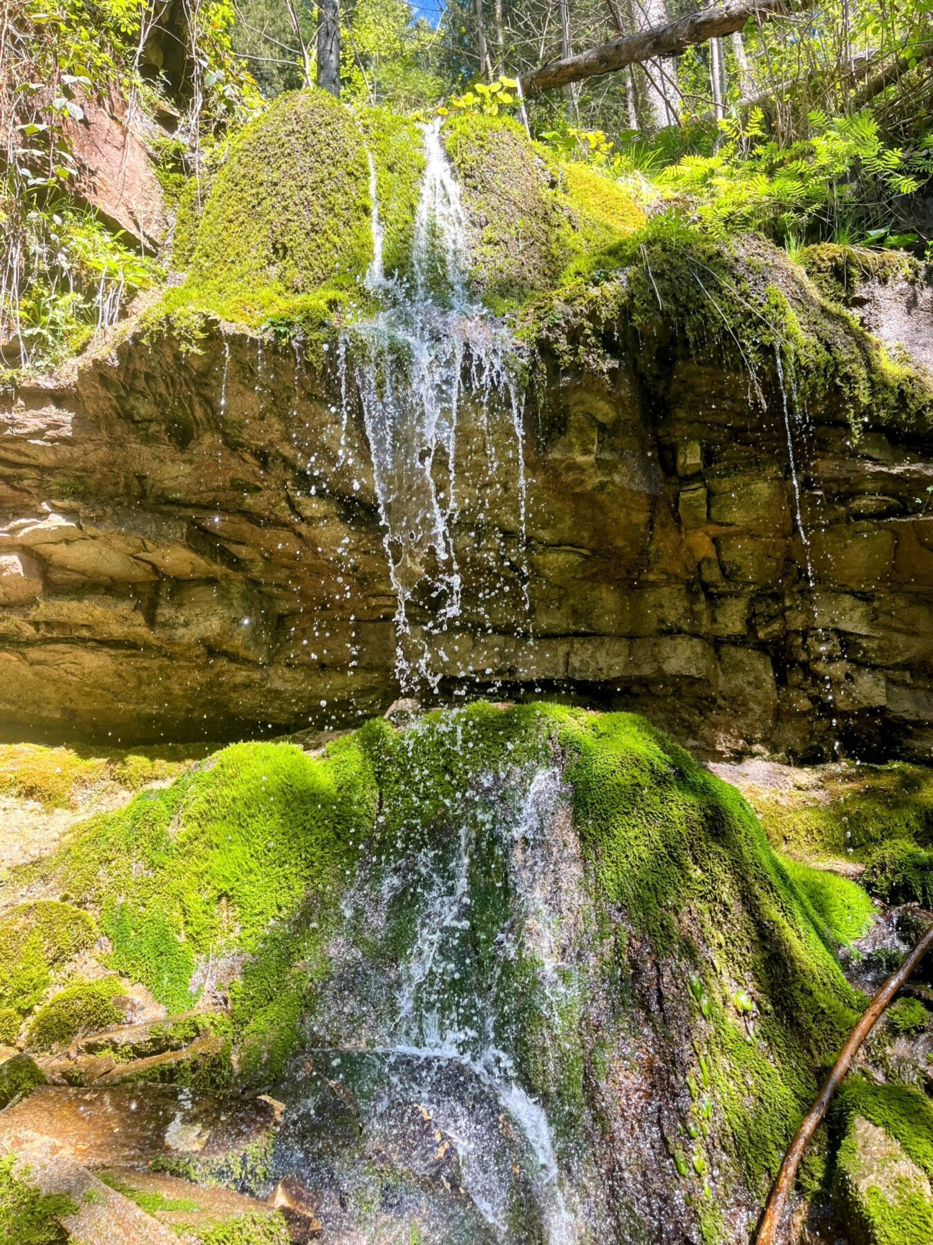 wanderung_schluchtensteig_schwarzwald_