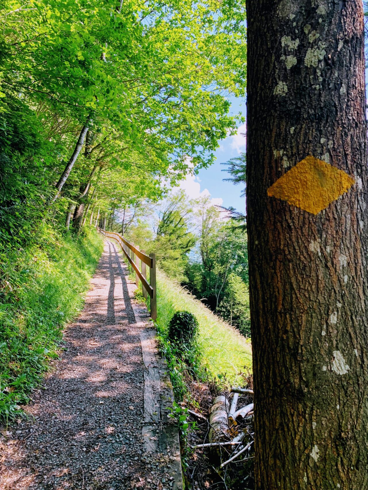 wanderung_ruetli_fluelen_