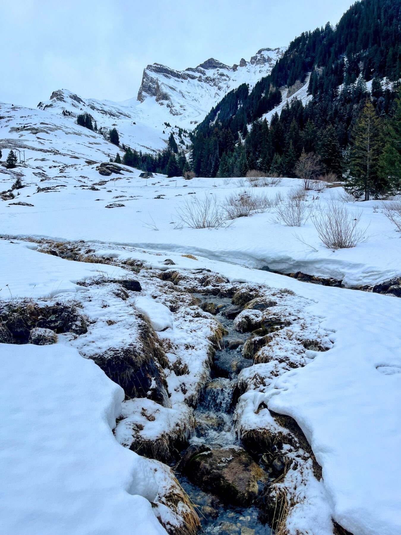 schneeschuhwanderung_panoramaweg_bussalp_bort__IMG_3860