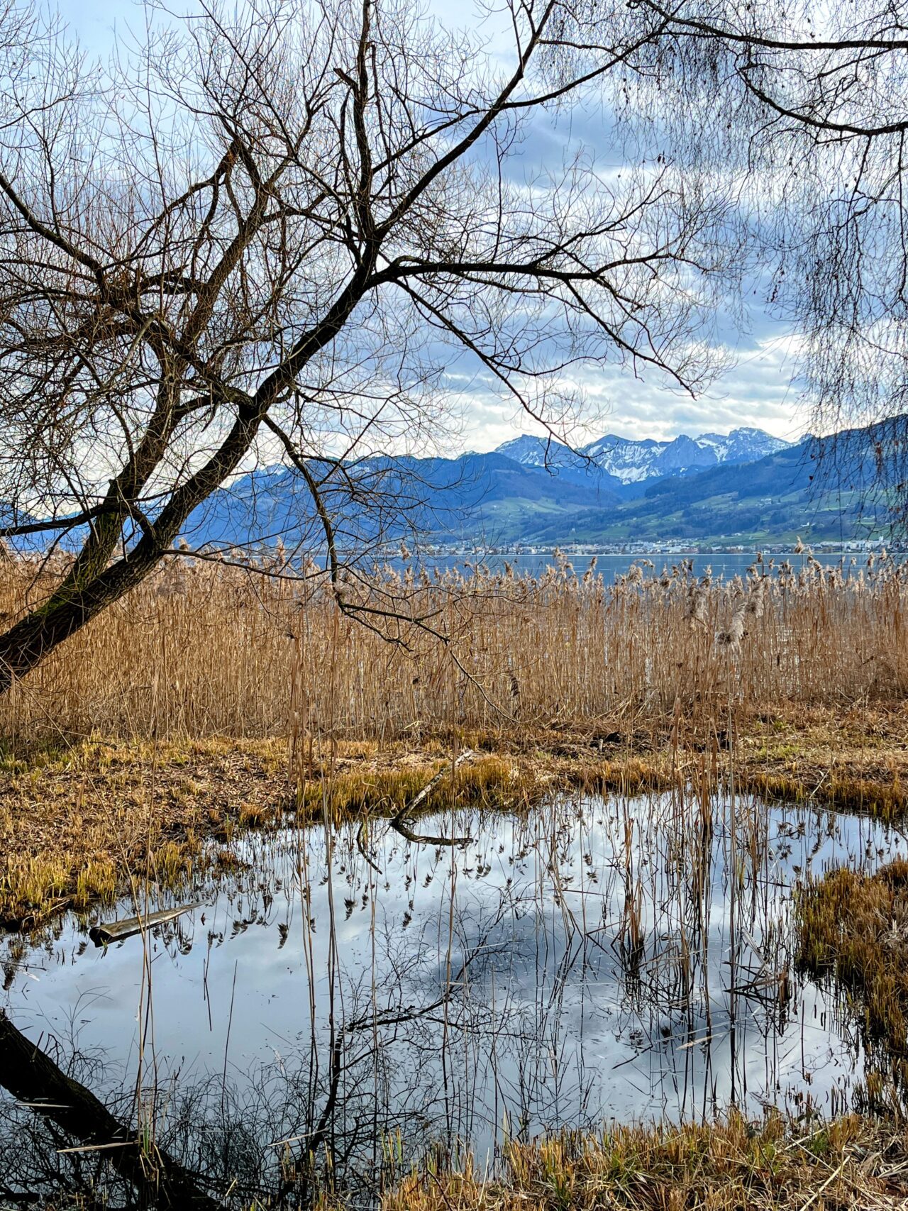 wanderung_pfaeffikon_rapperswil_