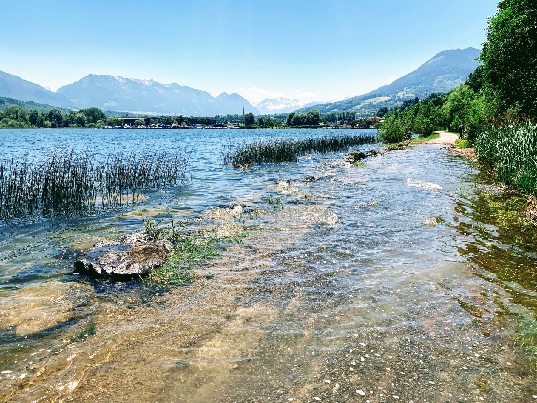 wanderung_vierwaldstaettersee_luzern_alpnachstad_