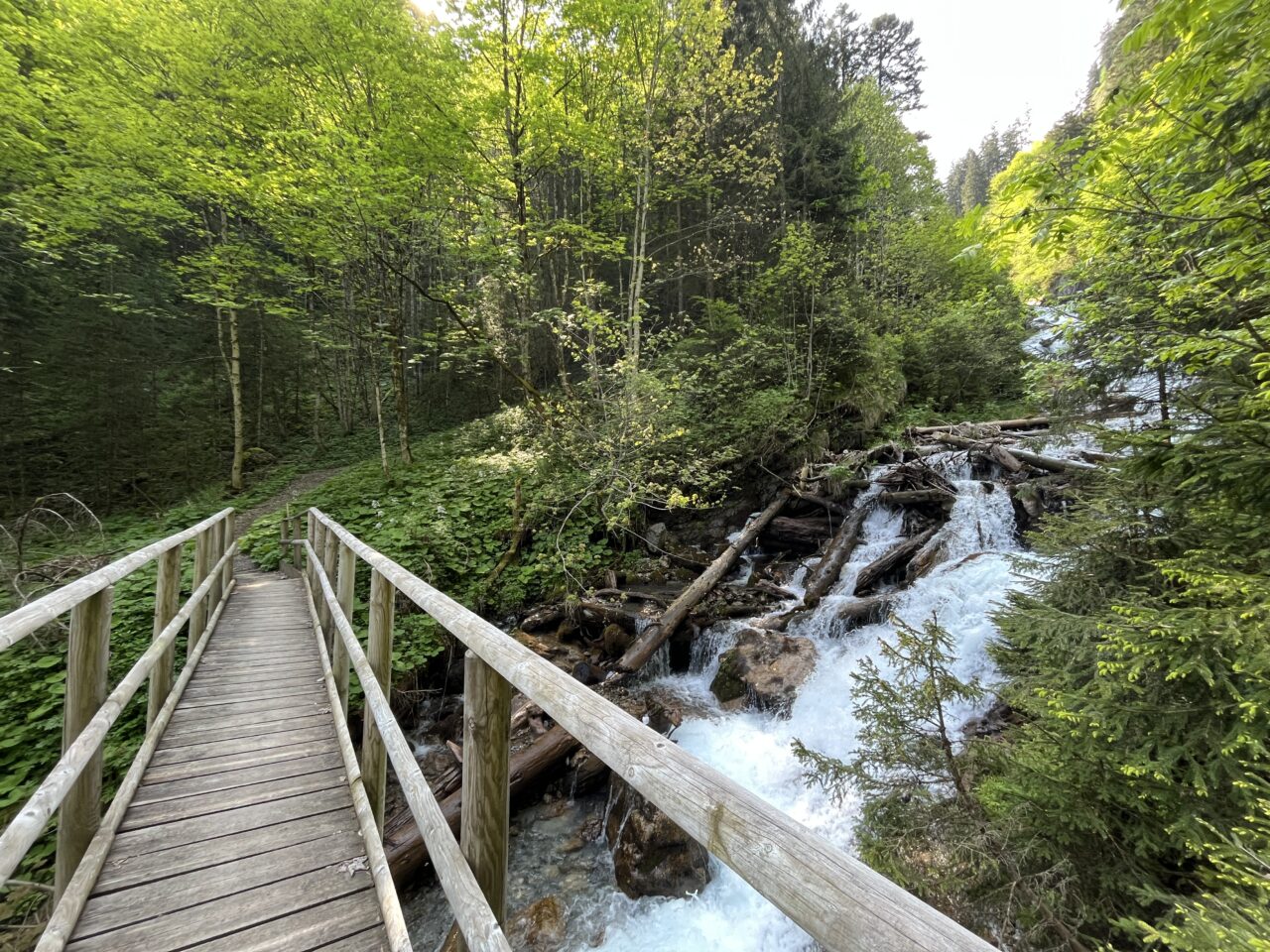 wanderung_sarotlahütte_