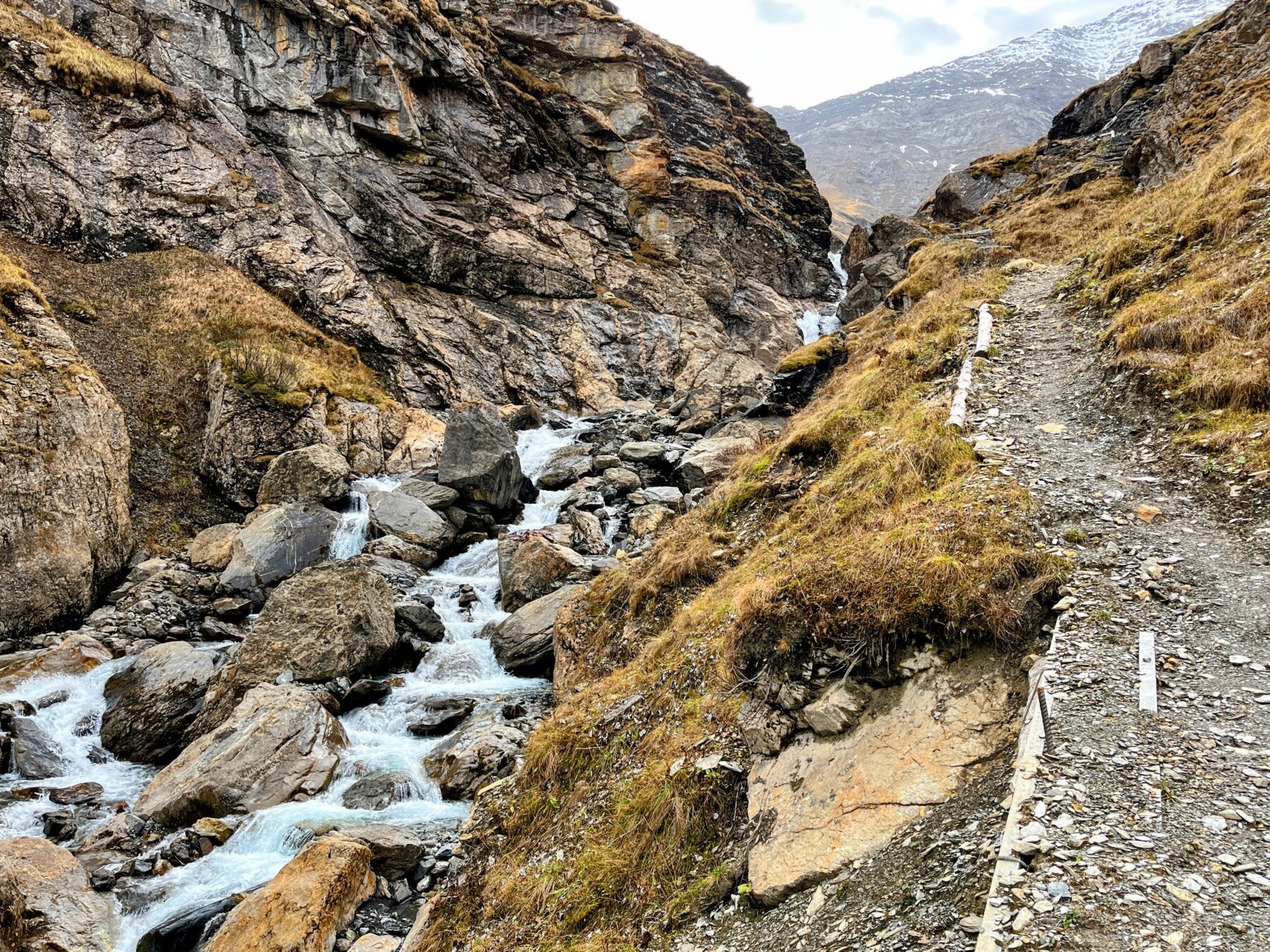 via_alpina_etappe_3_weisstannen_elm_