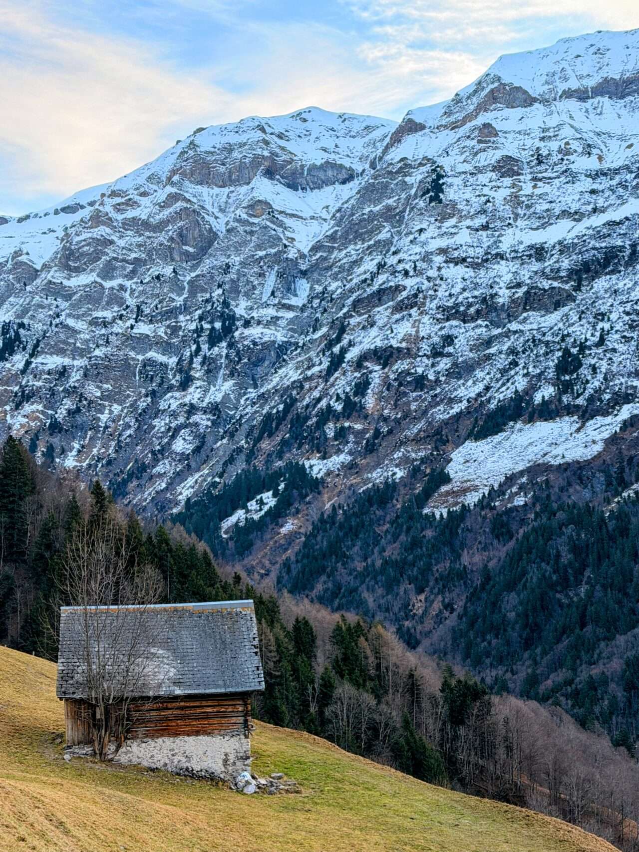 schneeschuhtour_matt_weissenberge_sunnenhöreli_
