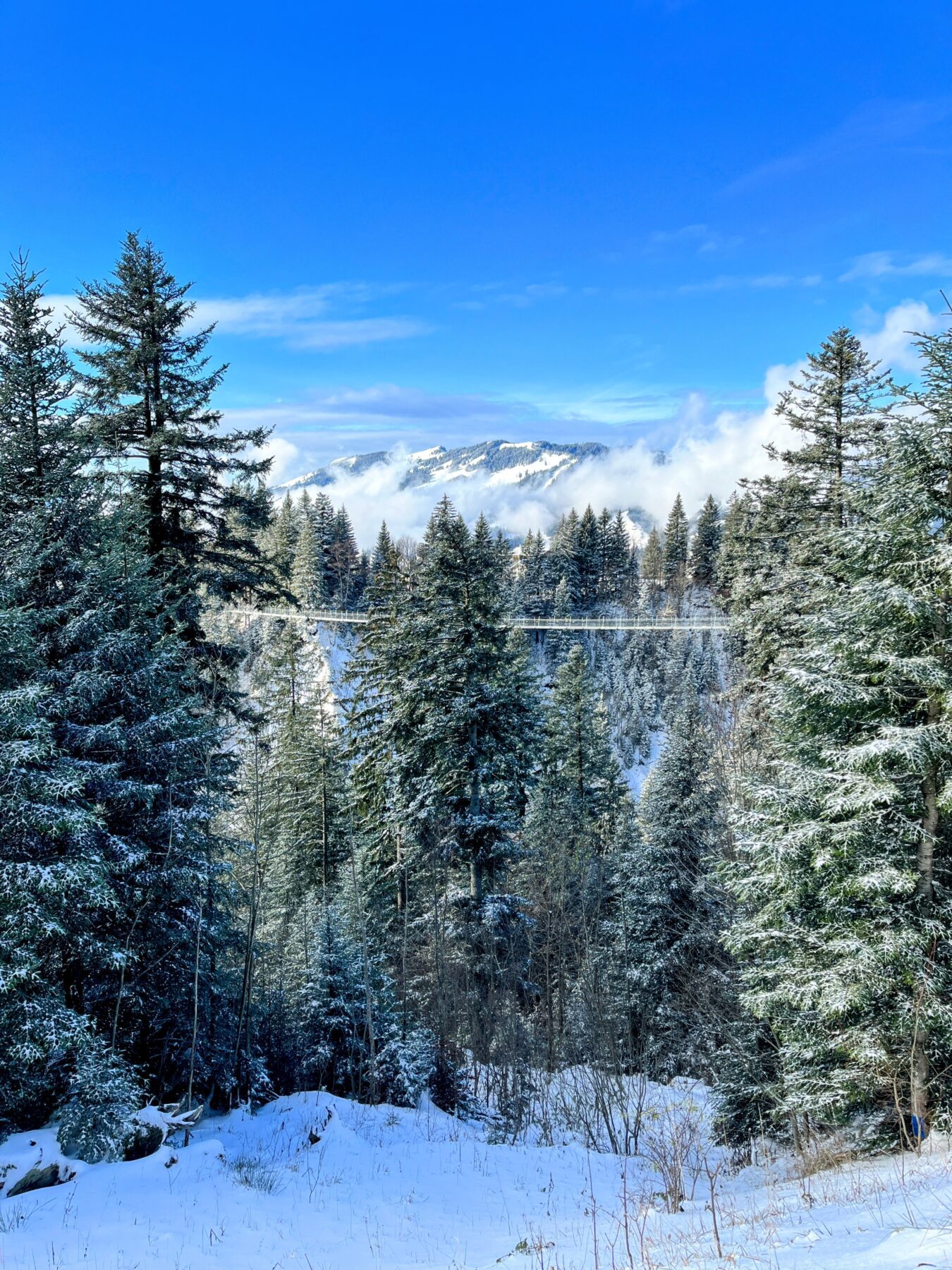 schneeschuhtour_biberegg_hochstuckli_haengebruecke__IMG_2163