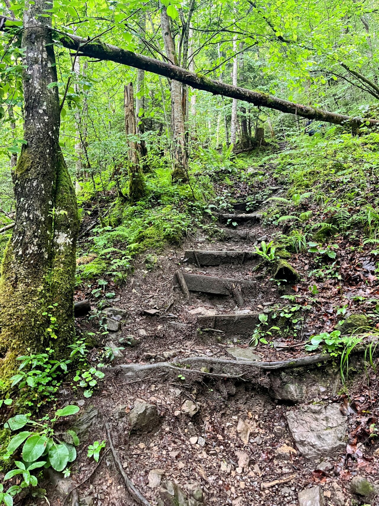 wanderung_hintere_unteriberg_stoos_fronalpstock_